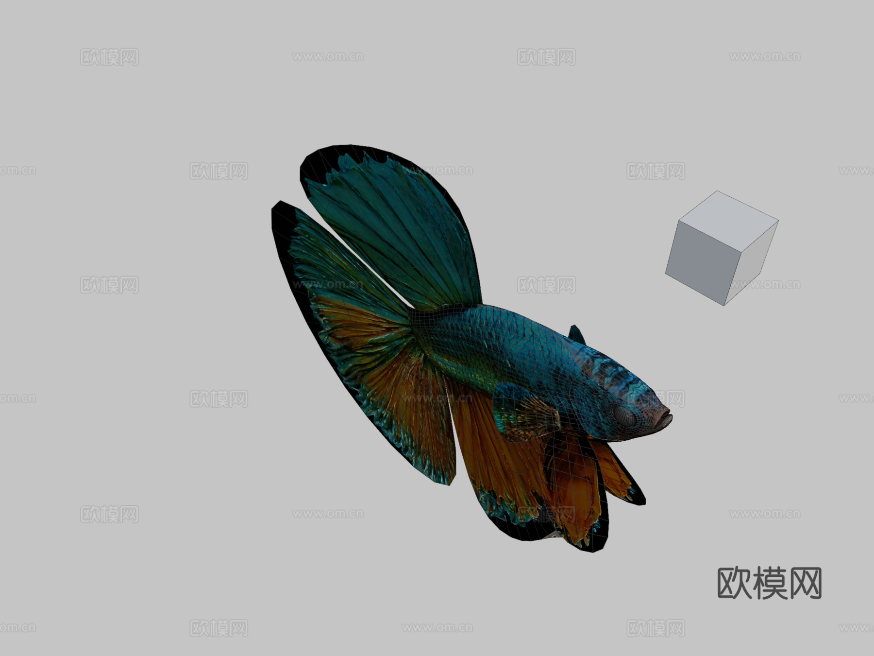 斗鱼3d模型