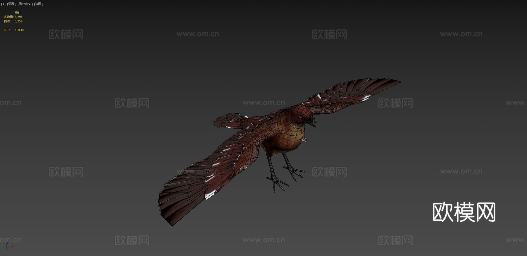 逼真鸟3d模型