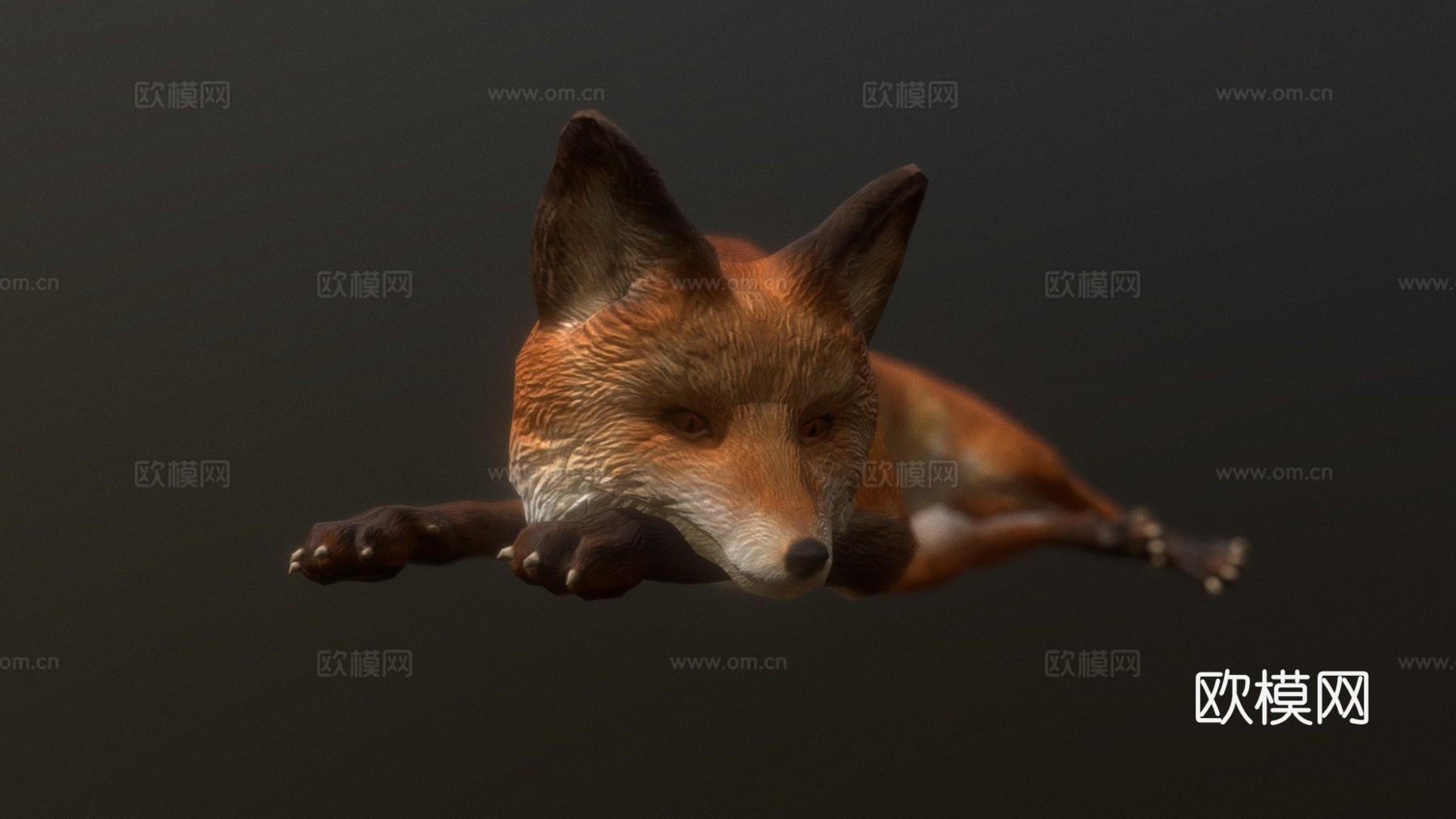狐狸3d模型
