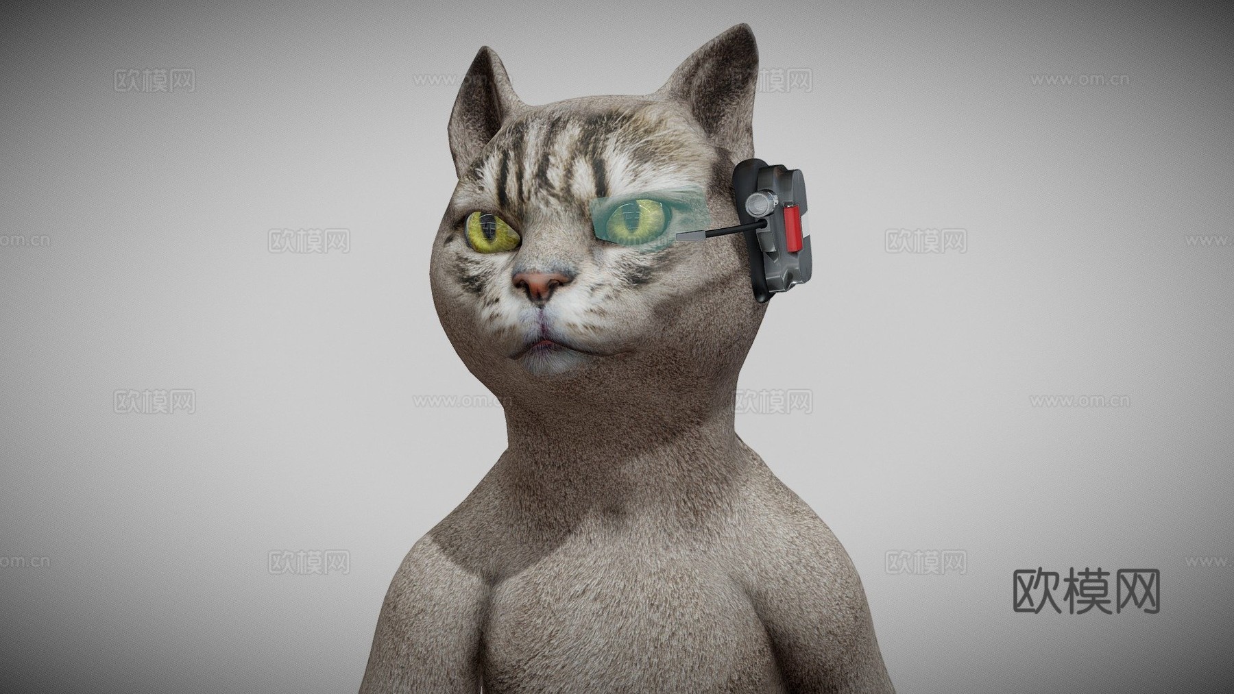 奥斯卡创意卡通萌猫3d模型