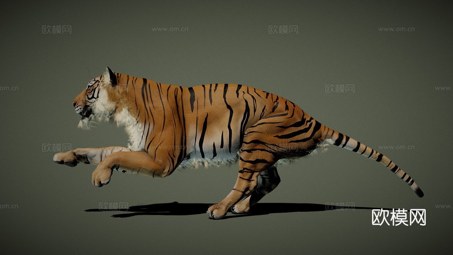 老虎1.03d模型