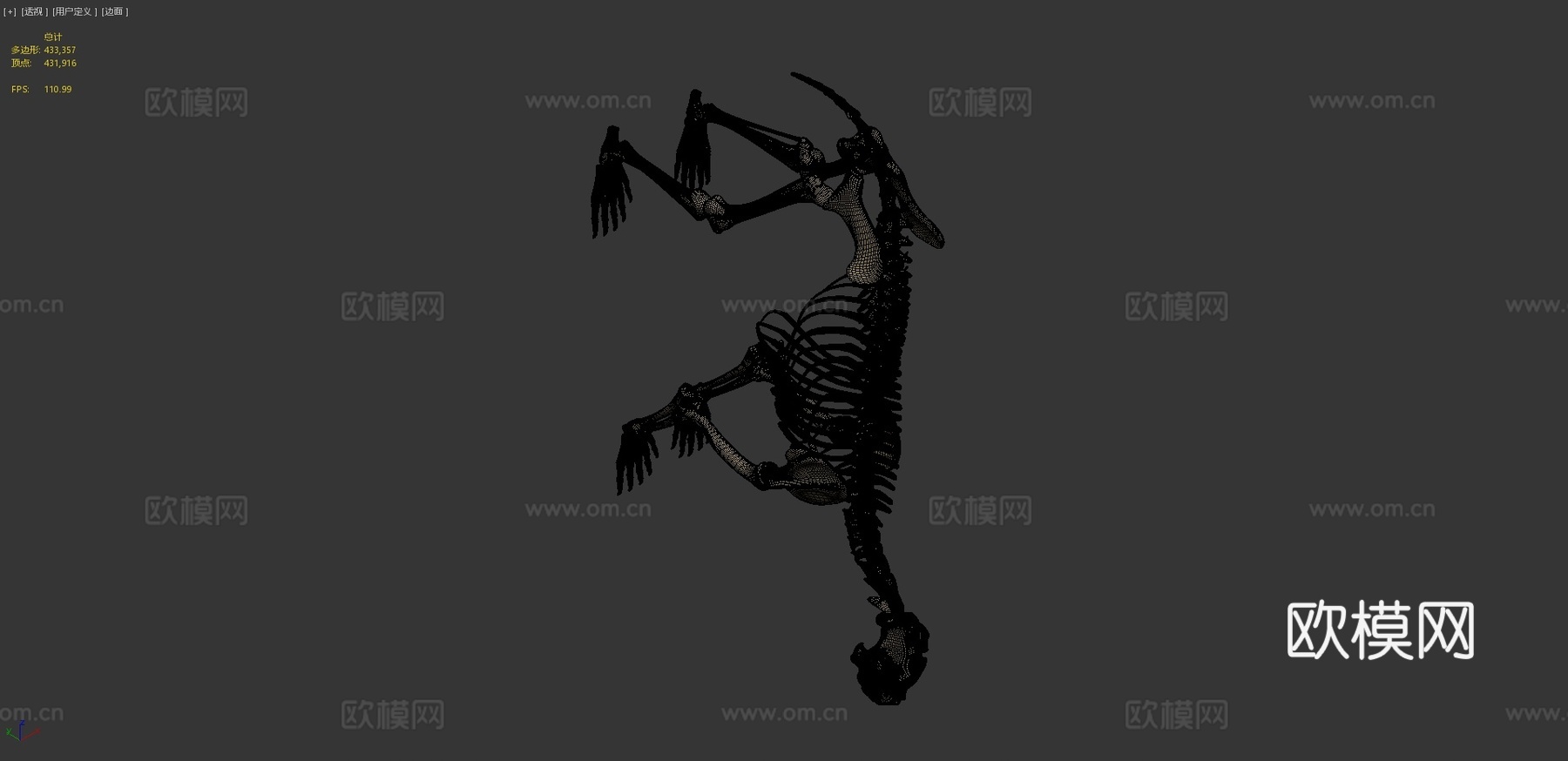 熊骨架3d模型