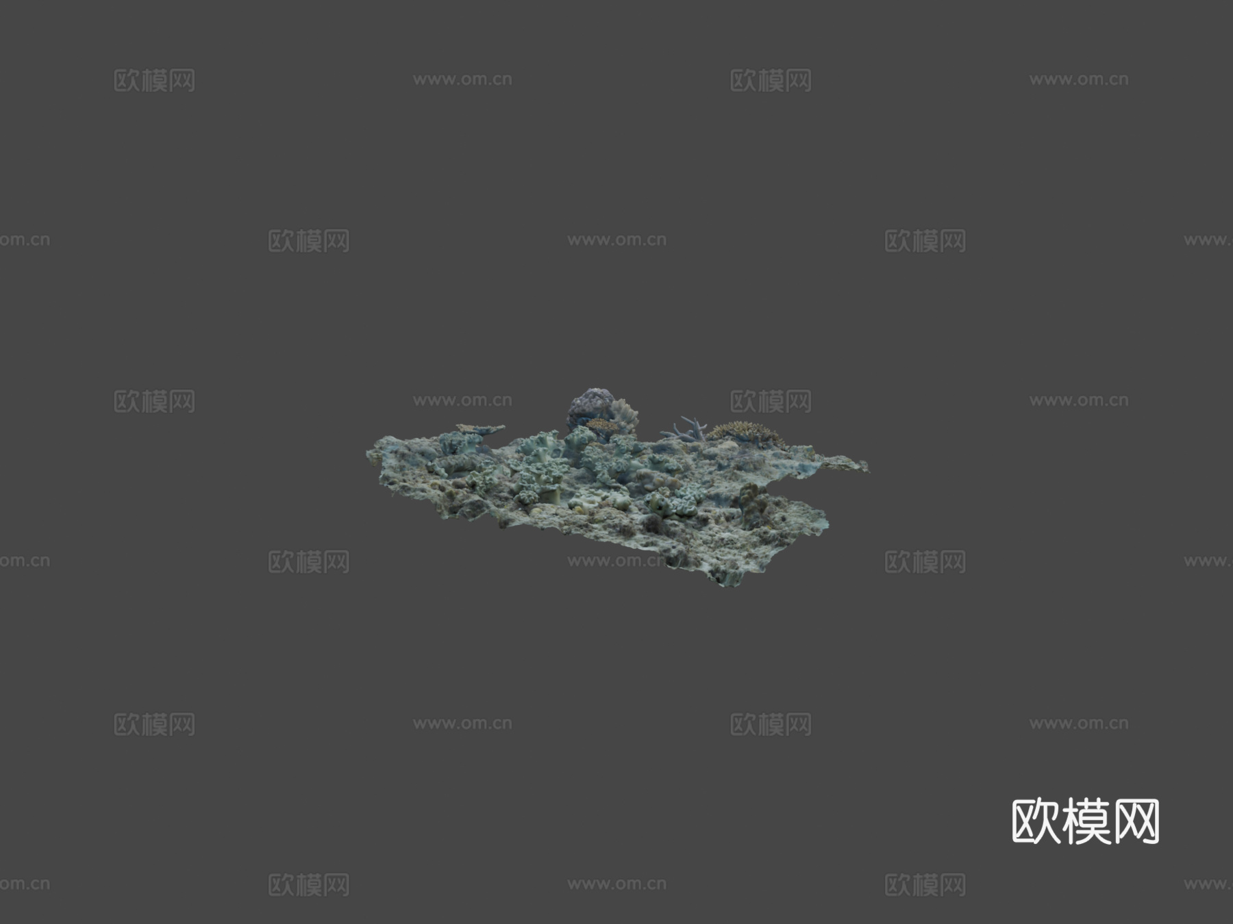 水下地形-#Agisoft自然挑战赛3d模型
