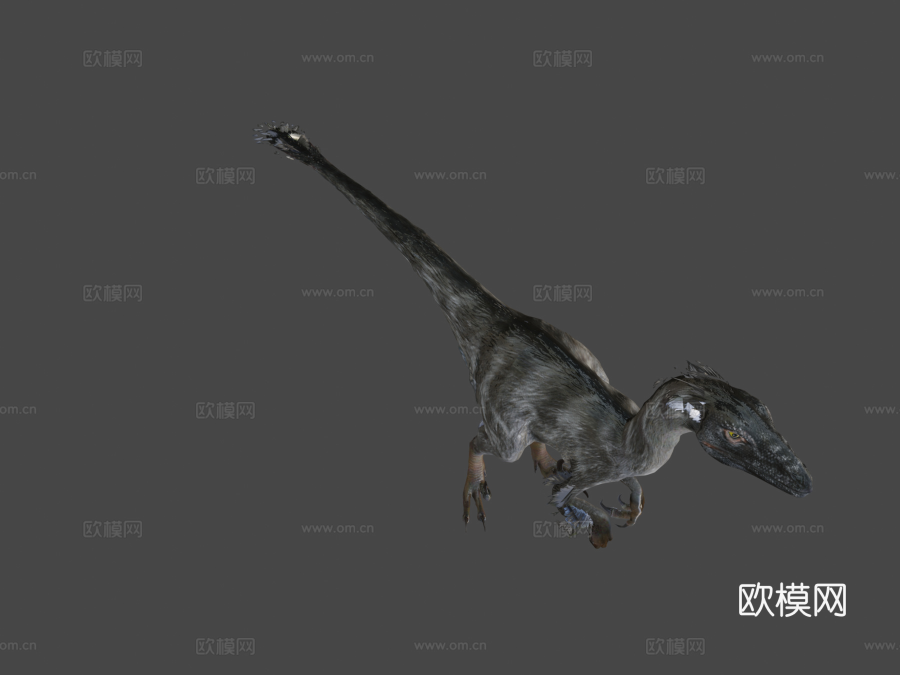 迅猛龙恐龙154个游戏动画3d模型