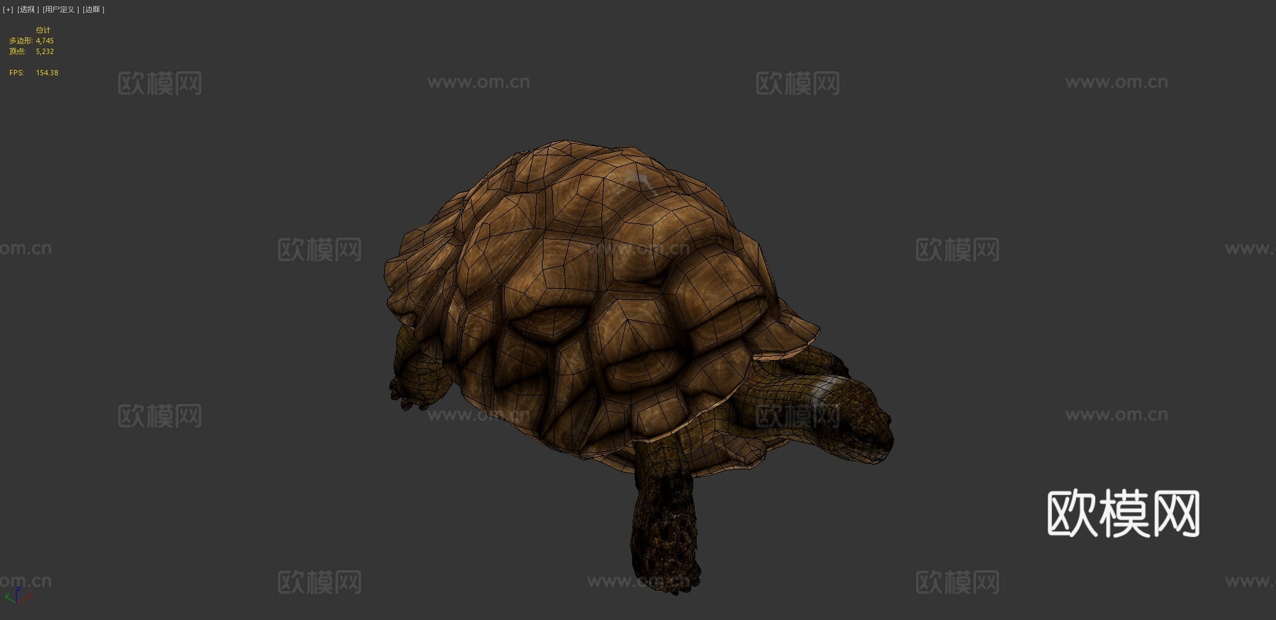 苏卡达陆龟01号3d模型