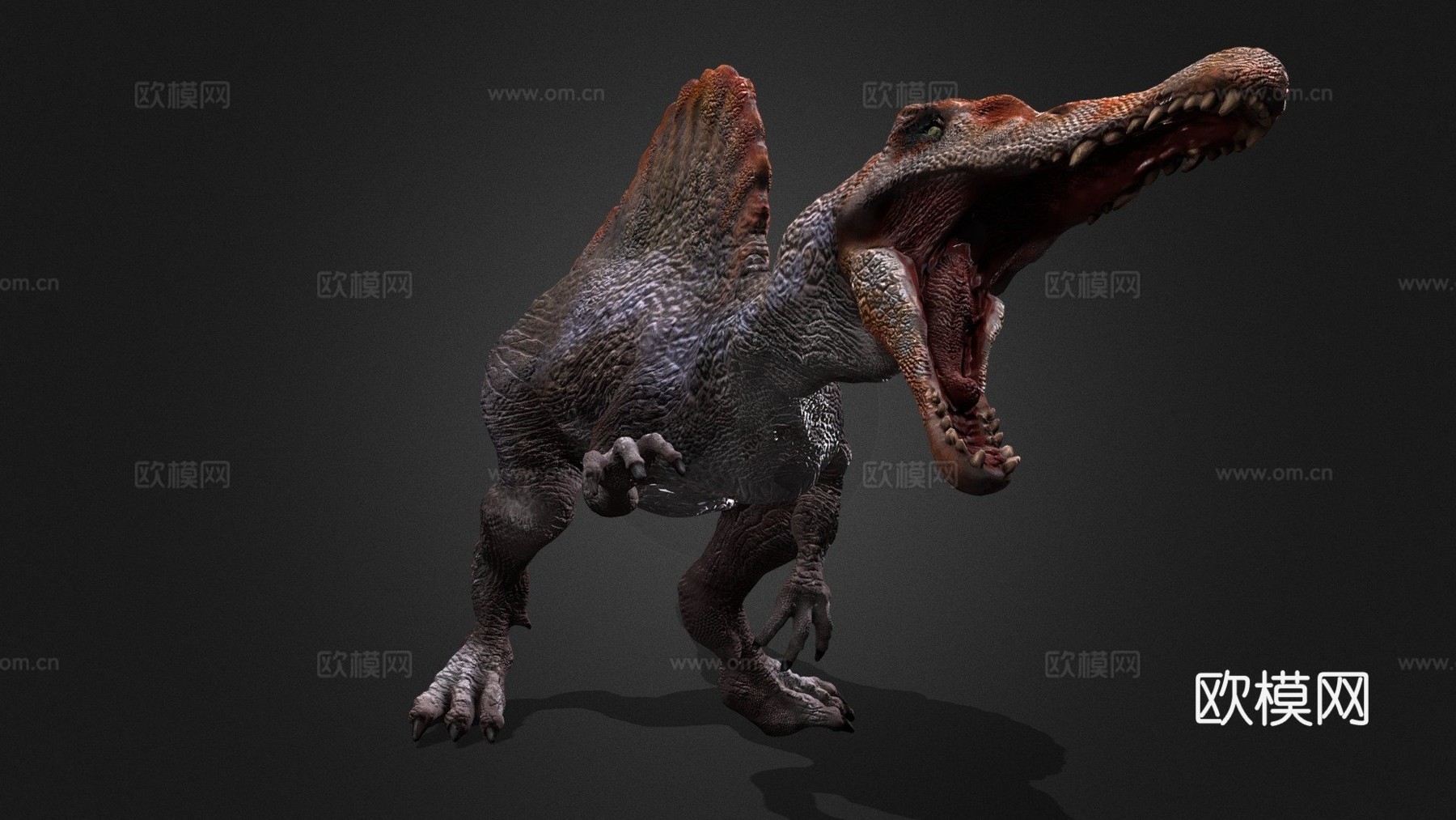 棘龙动画3d模型