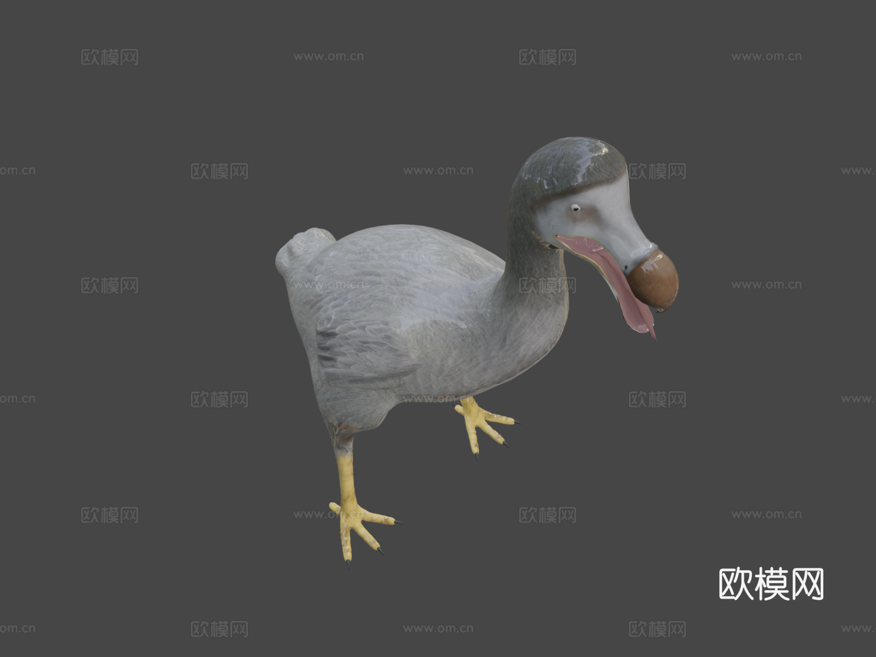 渡渡鸟[灭绝鸟类]3d模型