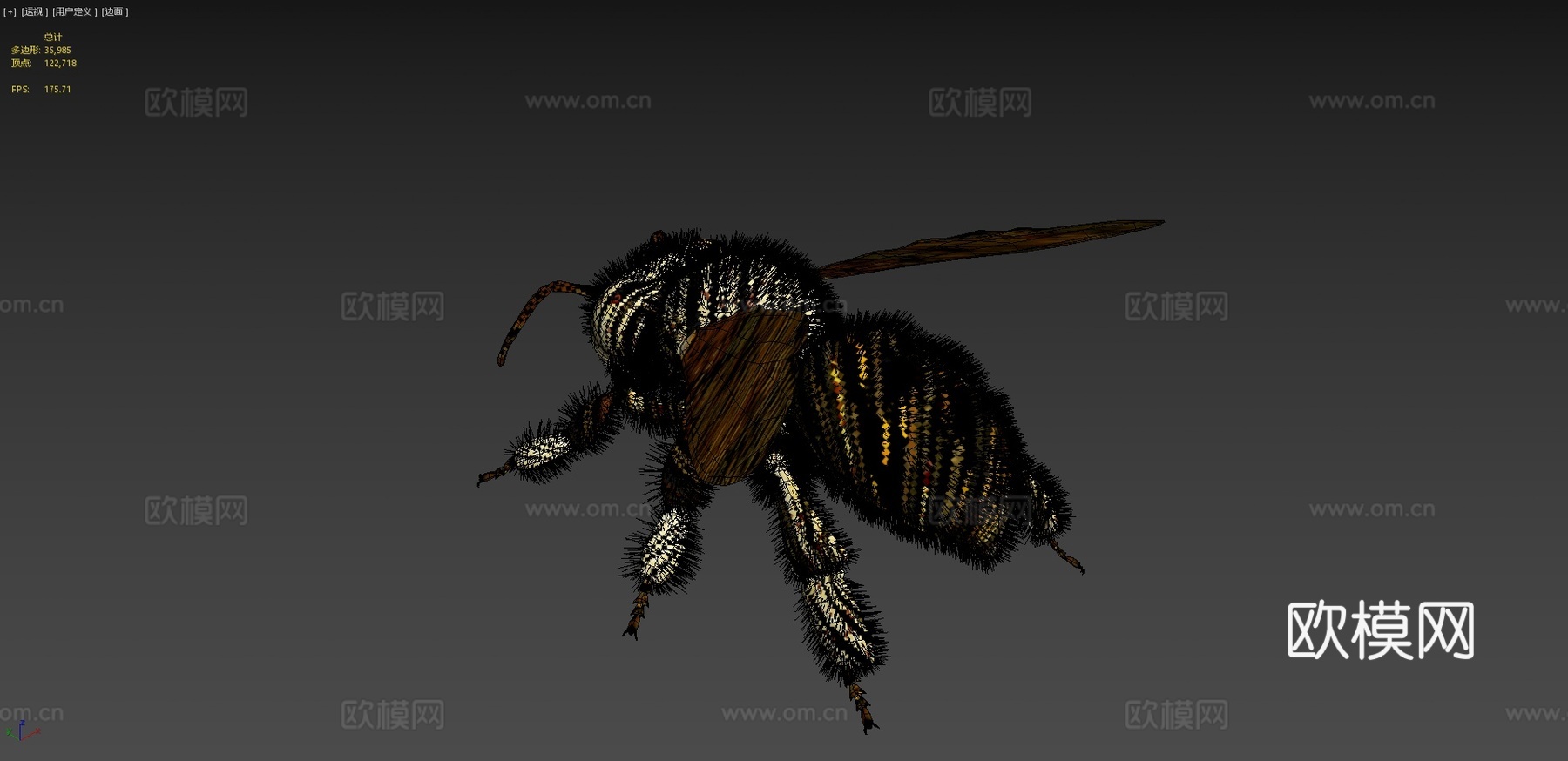 蜜蜂3d模型