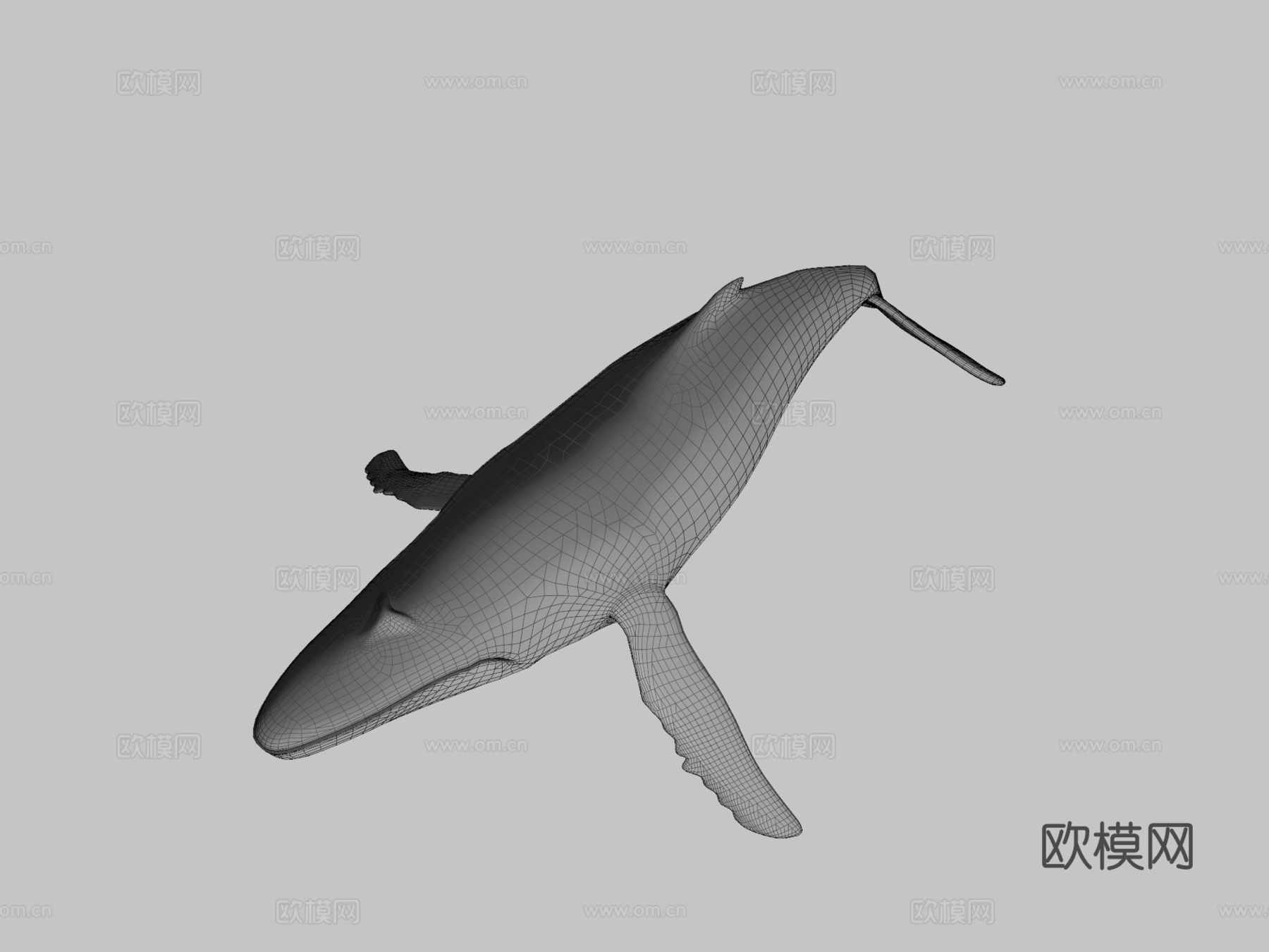 鲸鱼3d模型