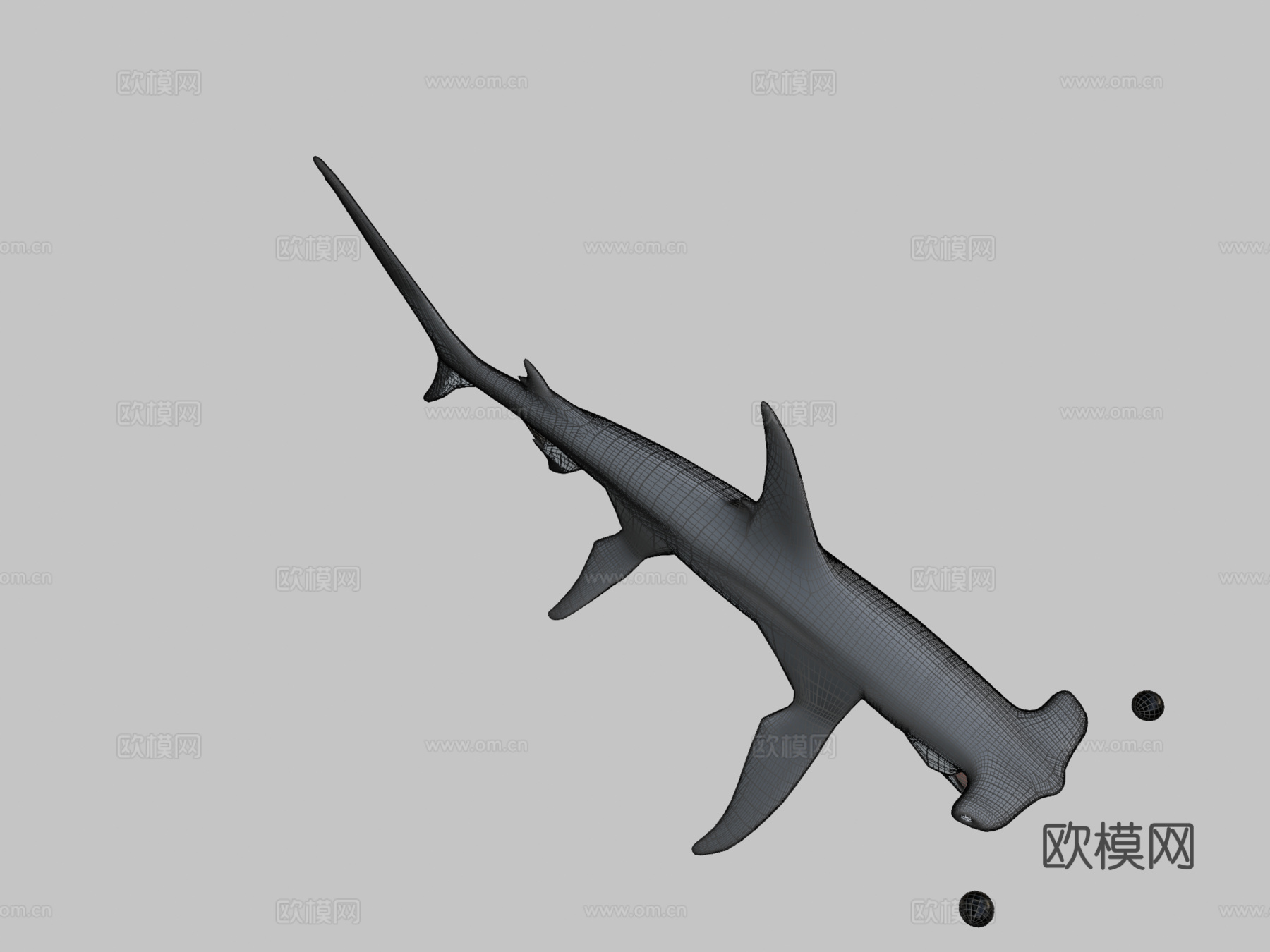 锤头鲨3d模型