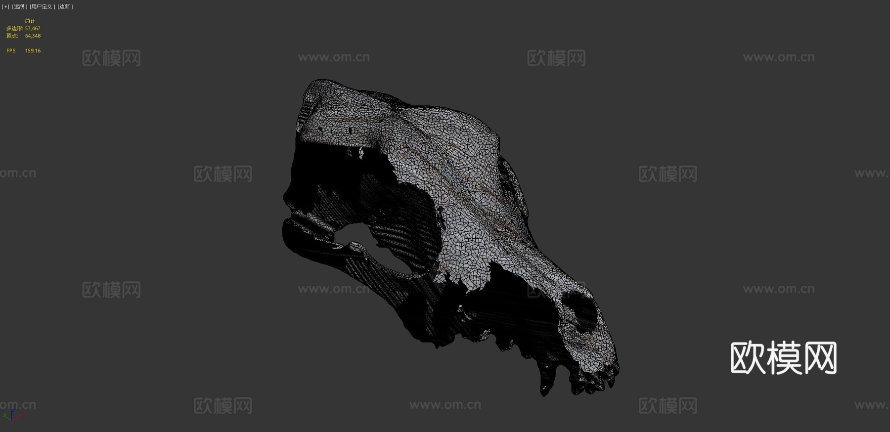 狗头骨测试3d模型