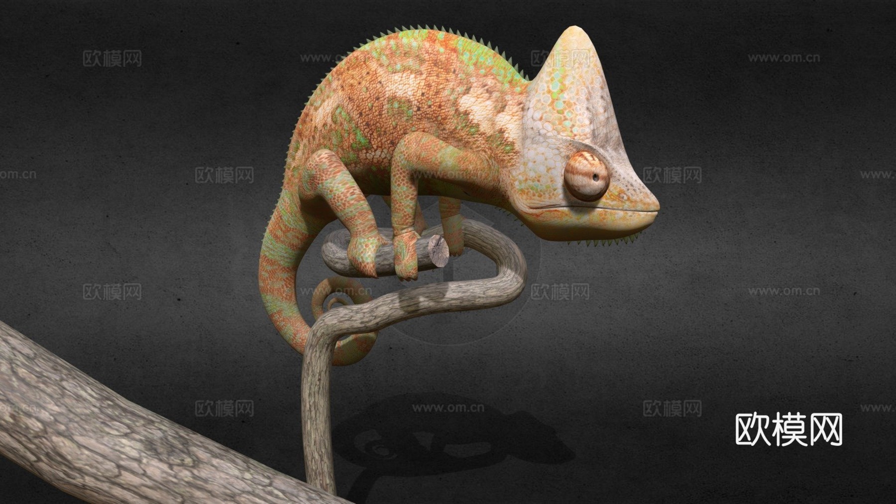 变色龙3d模型