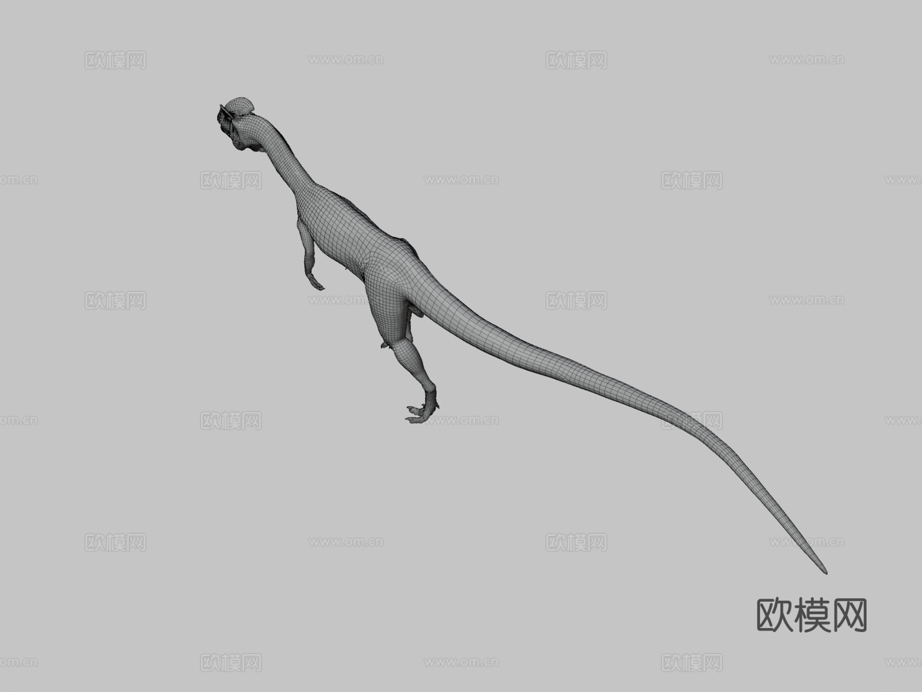 双脊龙3d模型