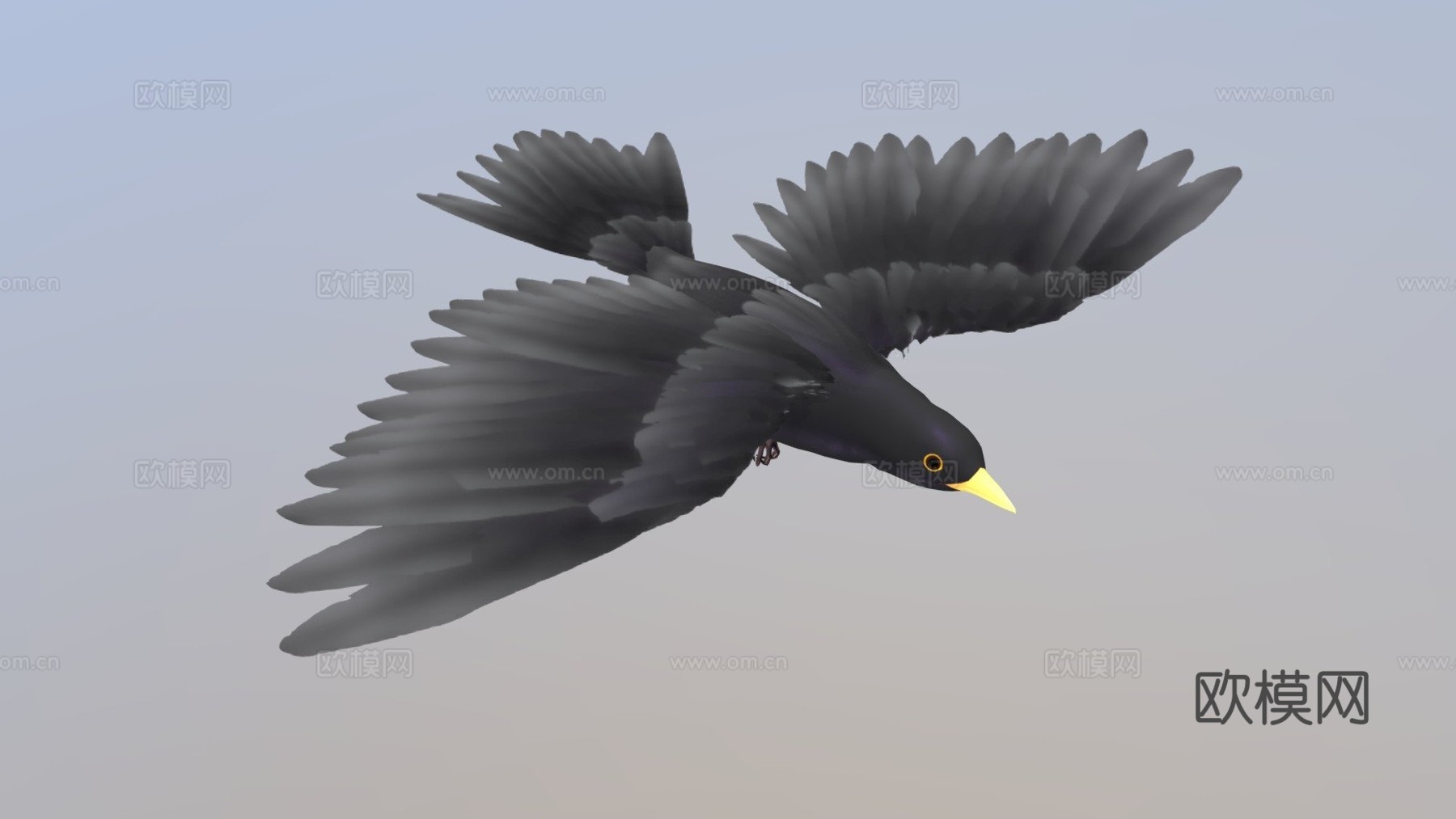 黑鸟3d模型