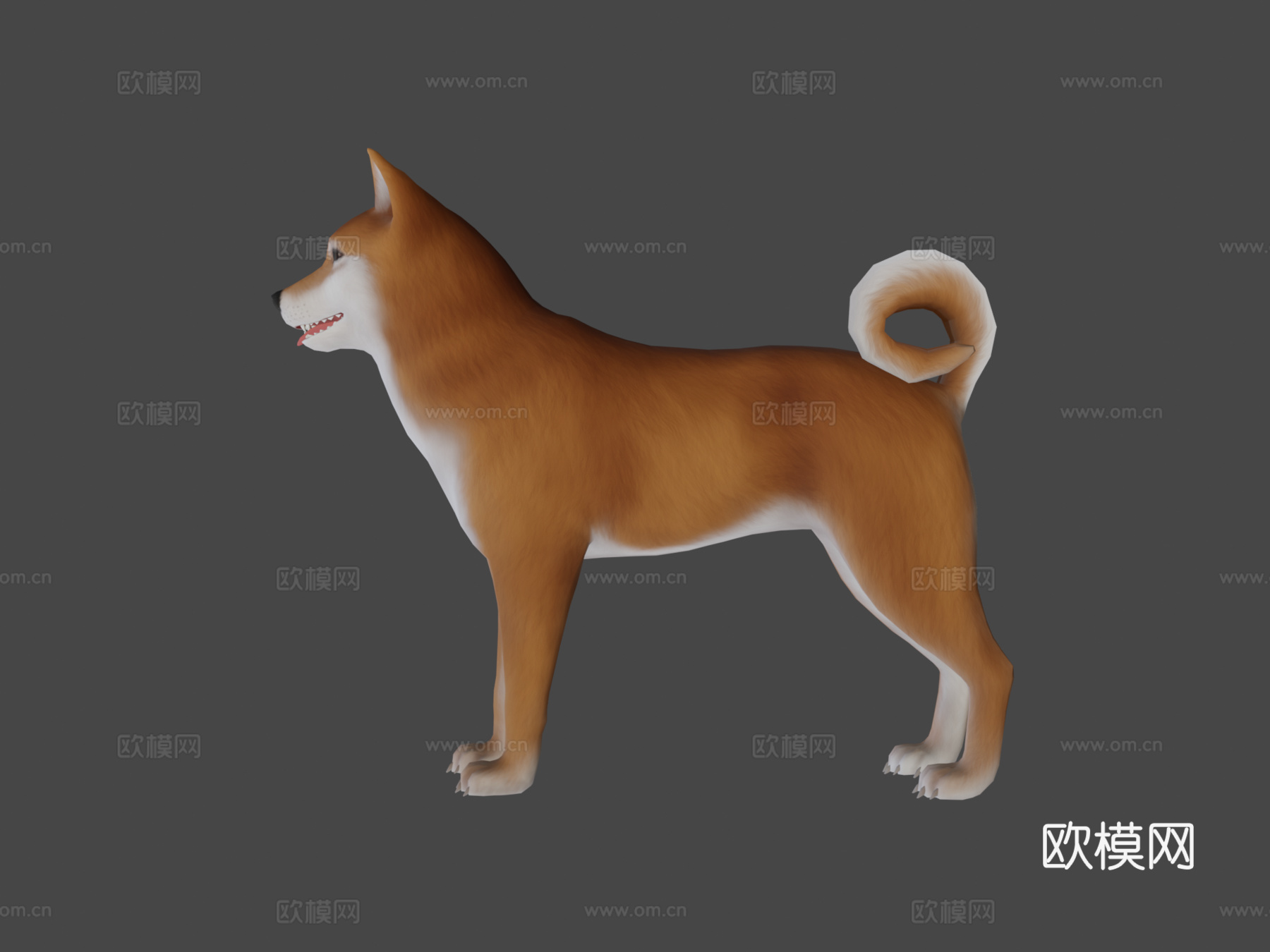 柴犬3d模型