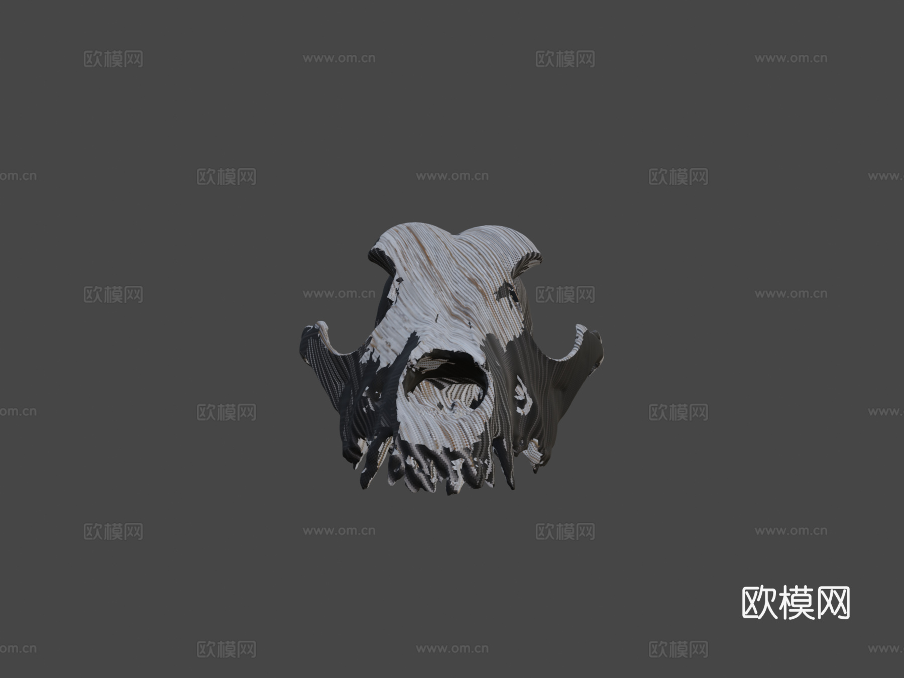 狗头骨测试3d模型