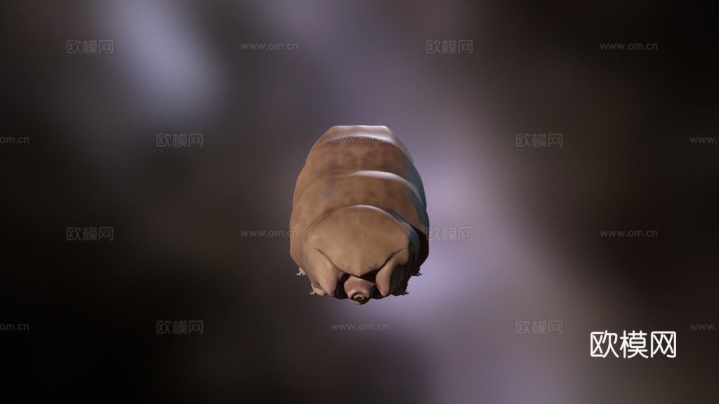 水熊虫3d模型