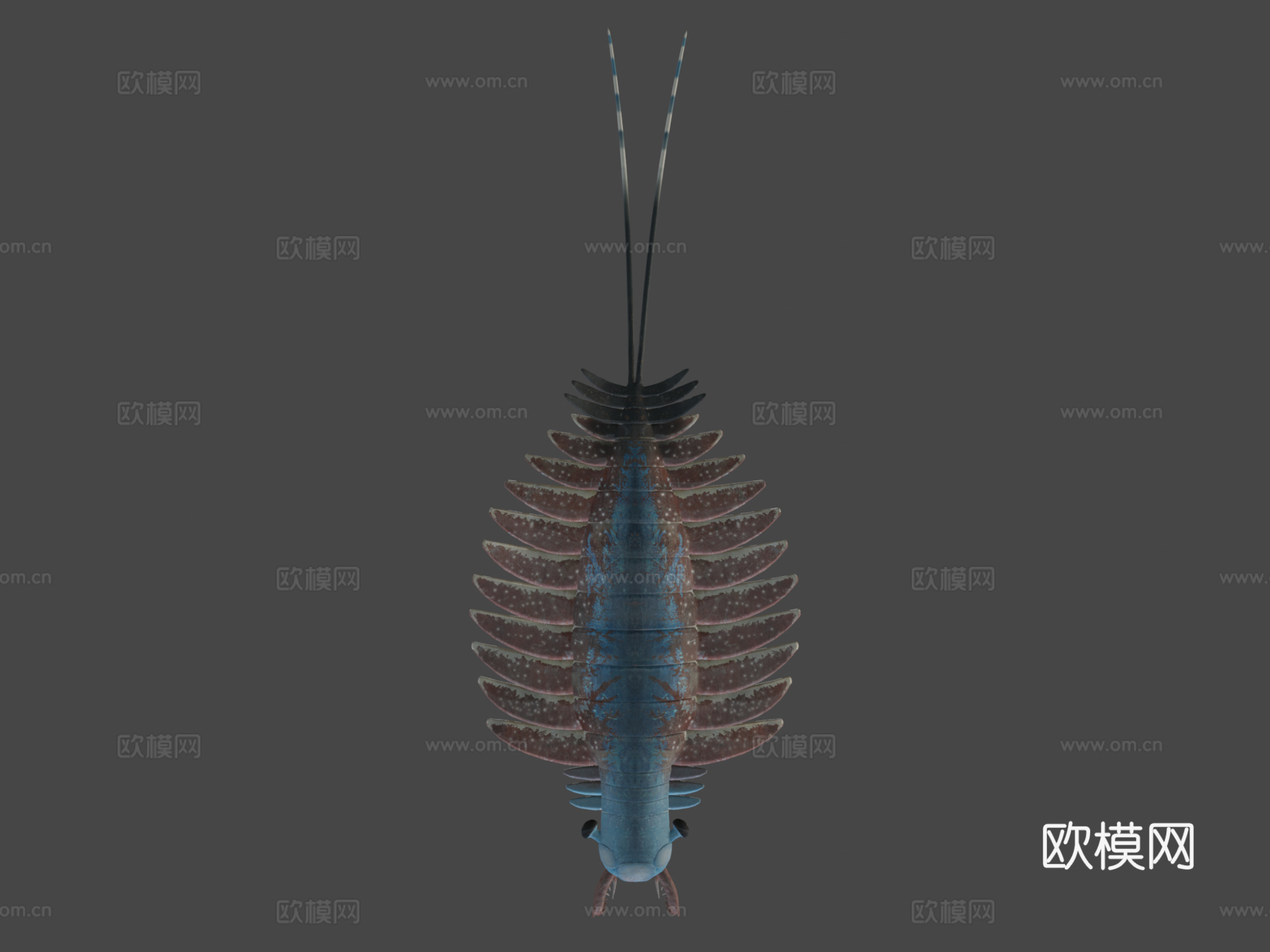 双肢抱怪虫3d模型