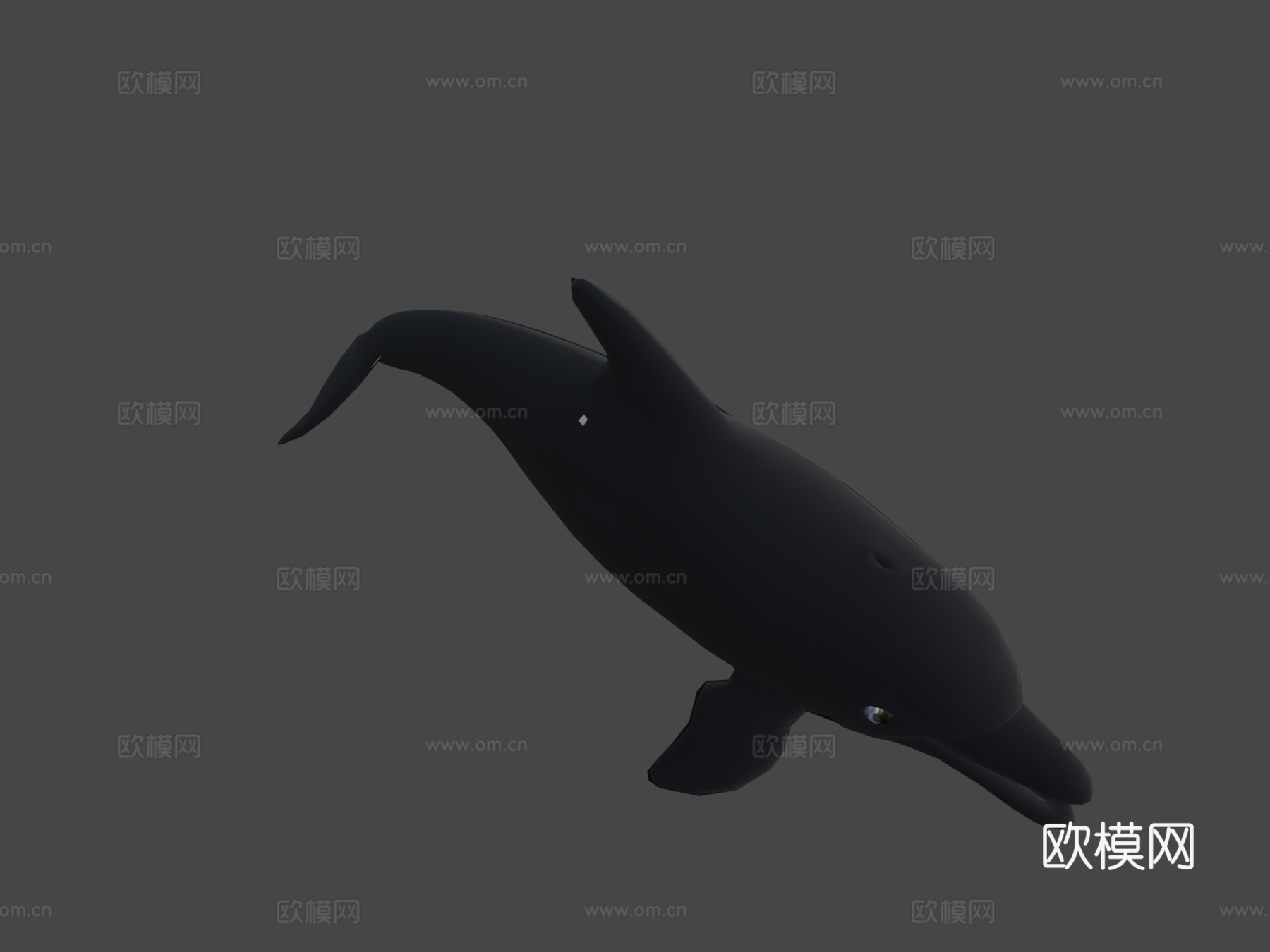 海豚3d模型