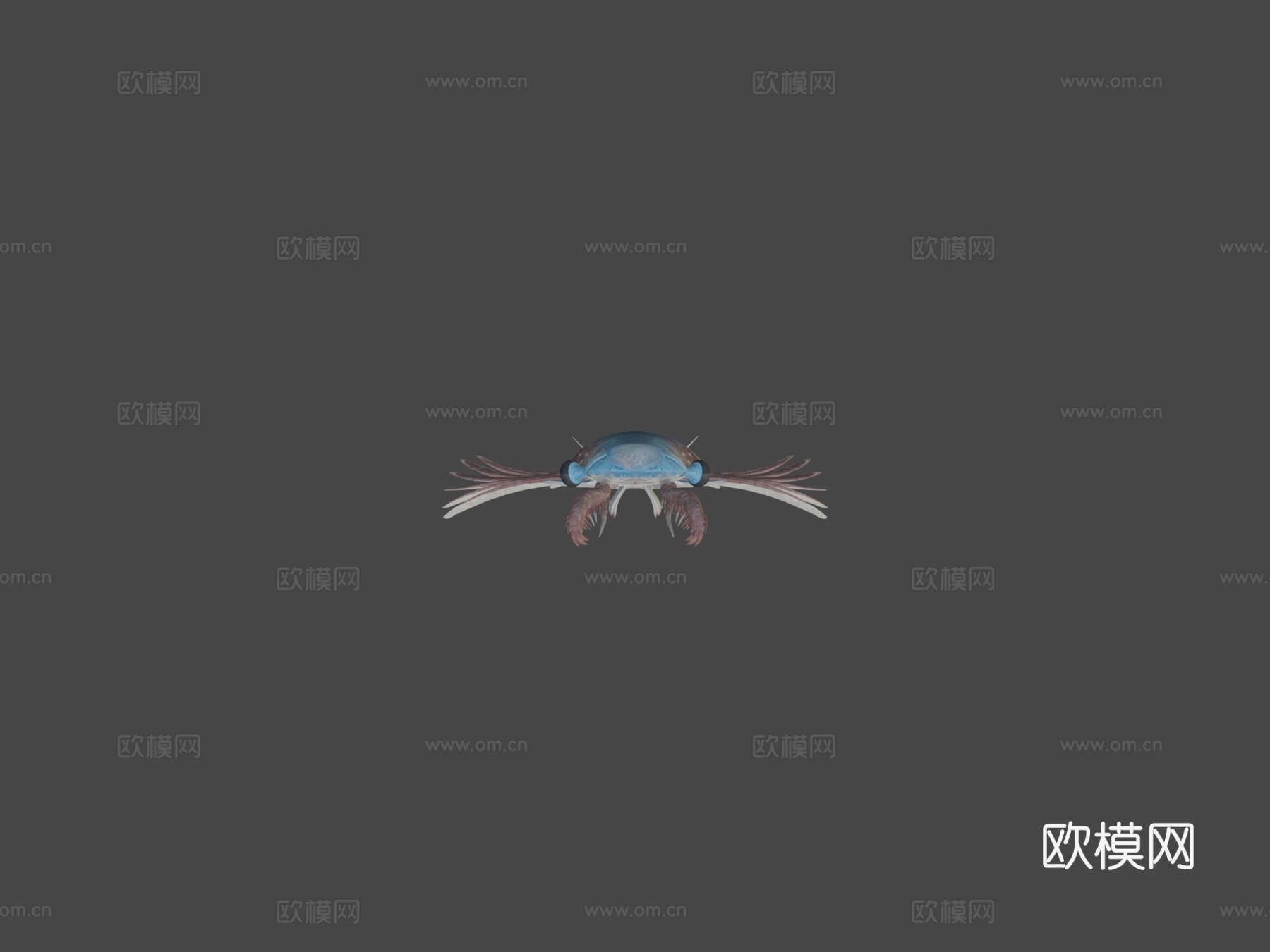 双肢抱怪虫3d模型