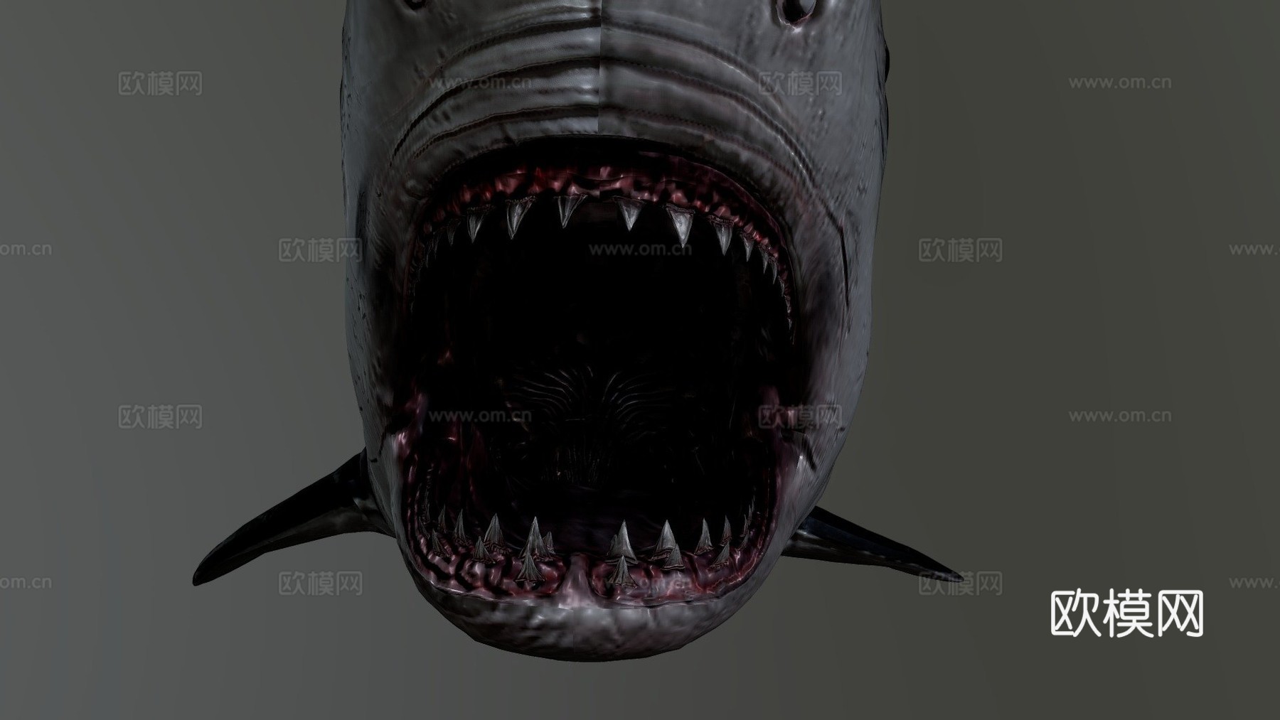 巨齿鲨3d模型