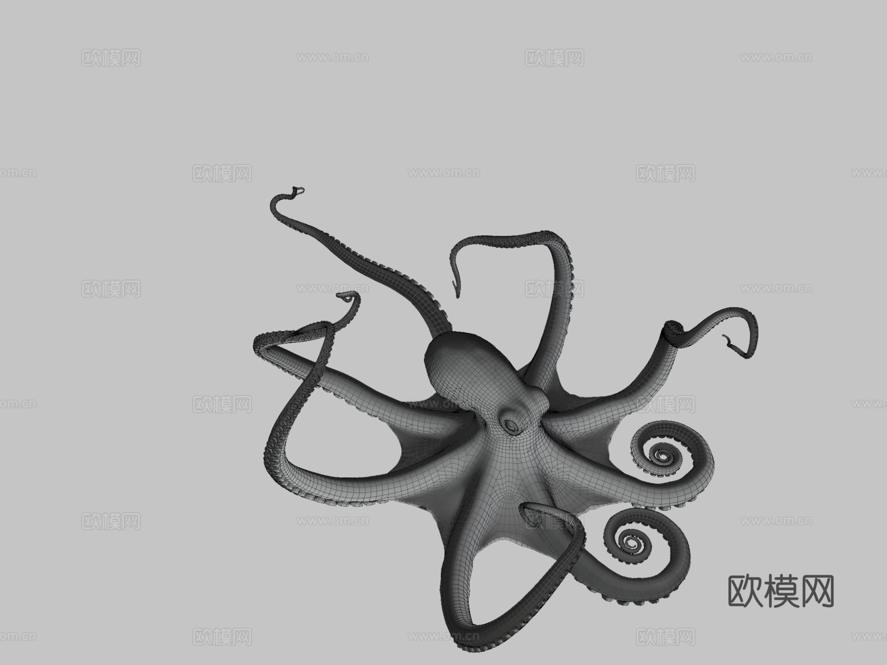 章鱼3d模型
