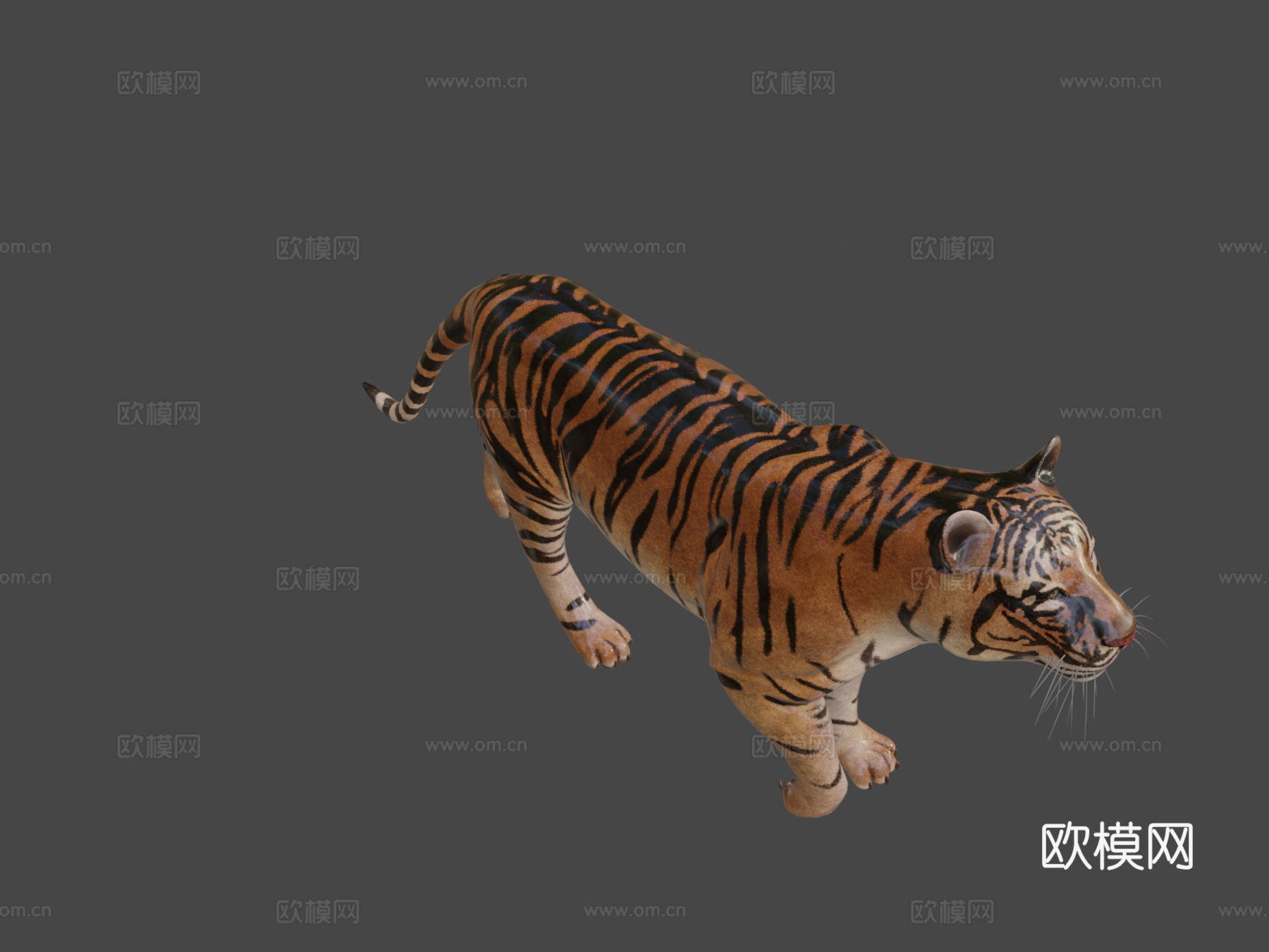 老虎3d模型