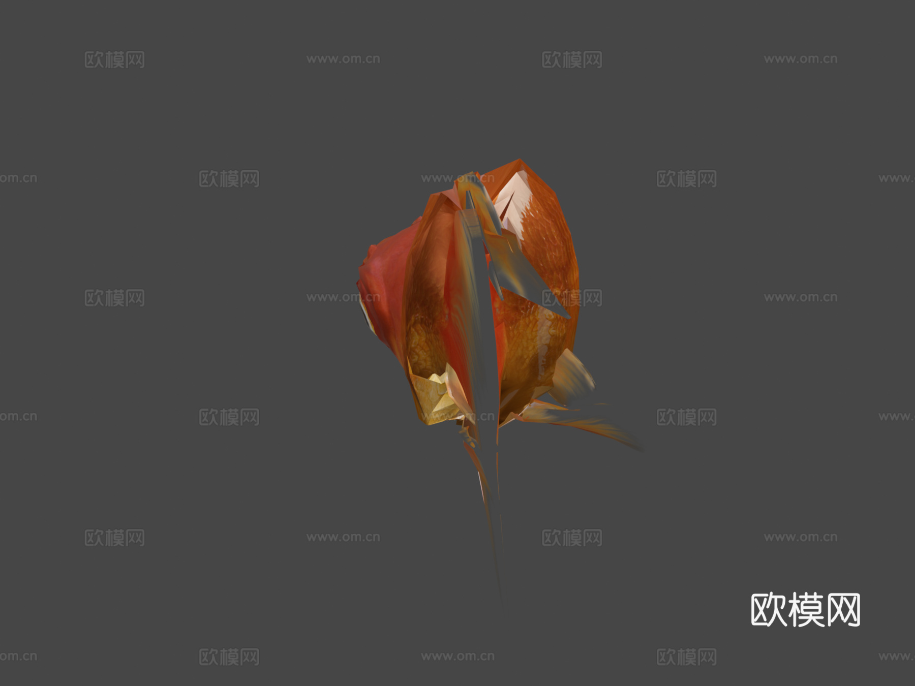 金鱼3D，低多边形3d模型