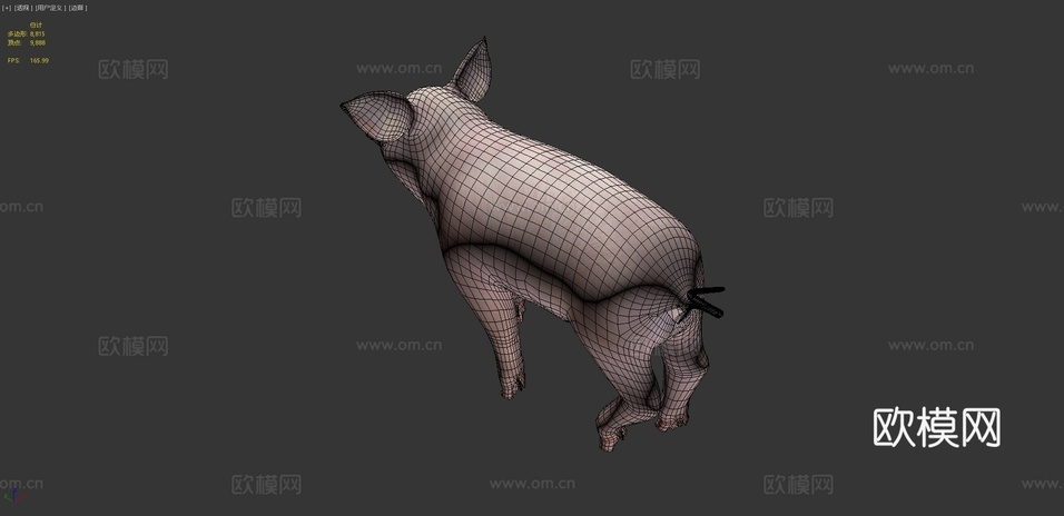 小猪3d模型下载(渲染图4)
