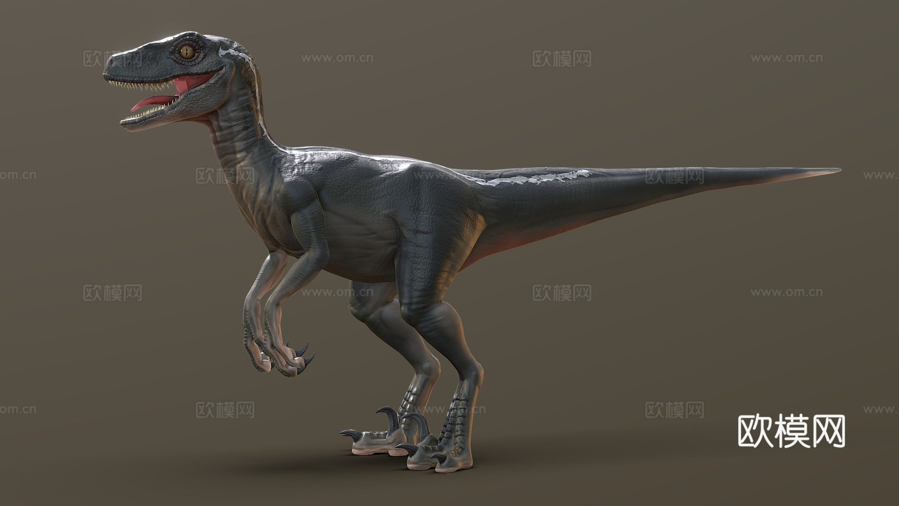 侏罗纪公园迅猛龙3d模型