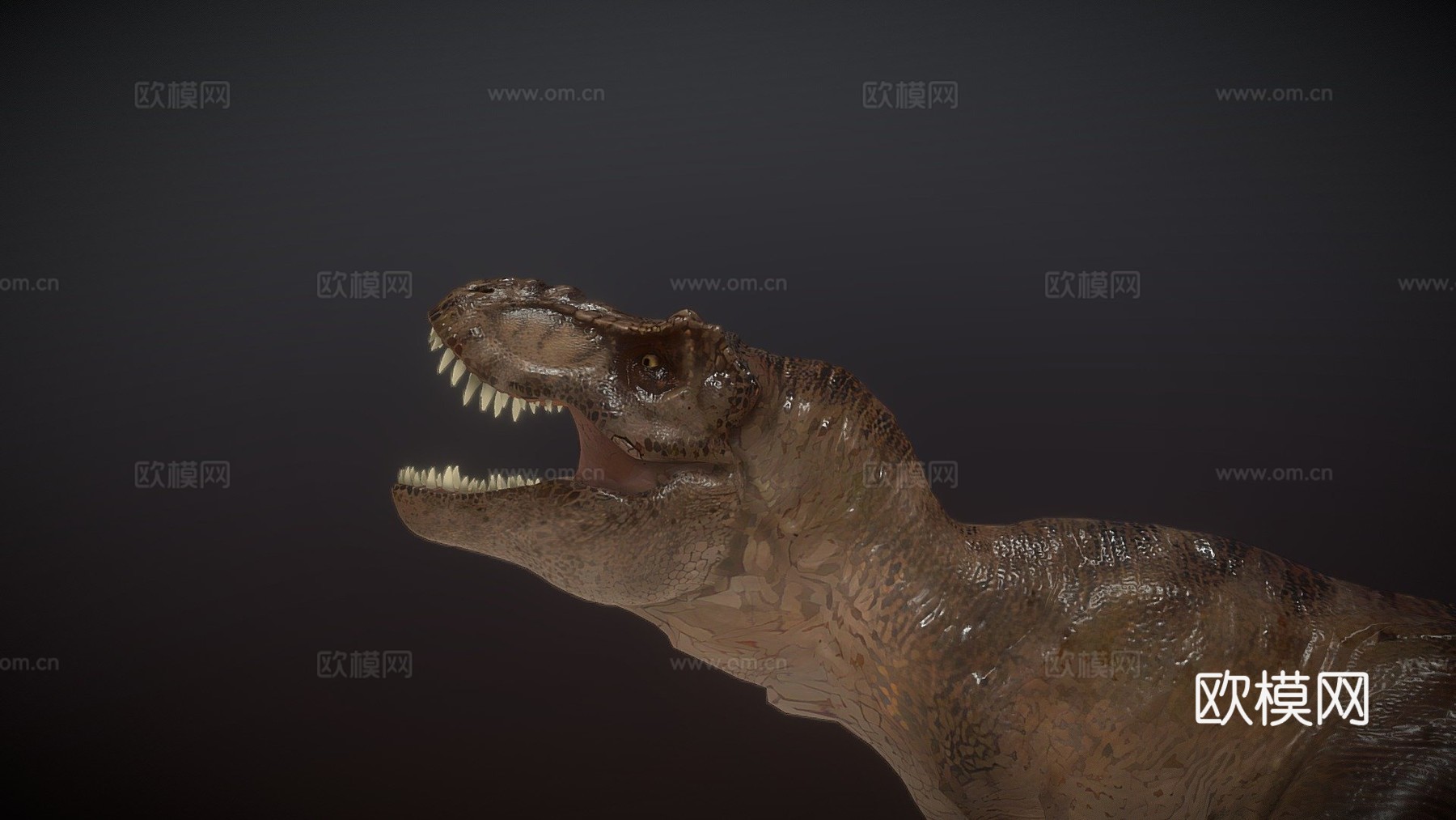 霸王龙骨架(别吃我费里斯摩天轮)3d模型