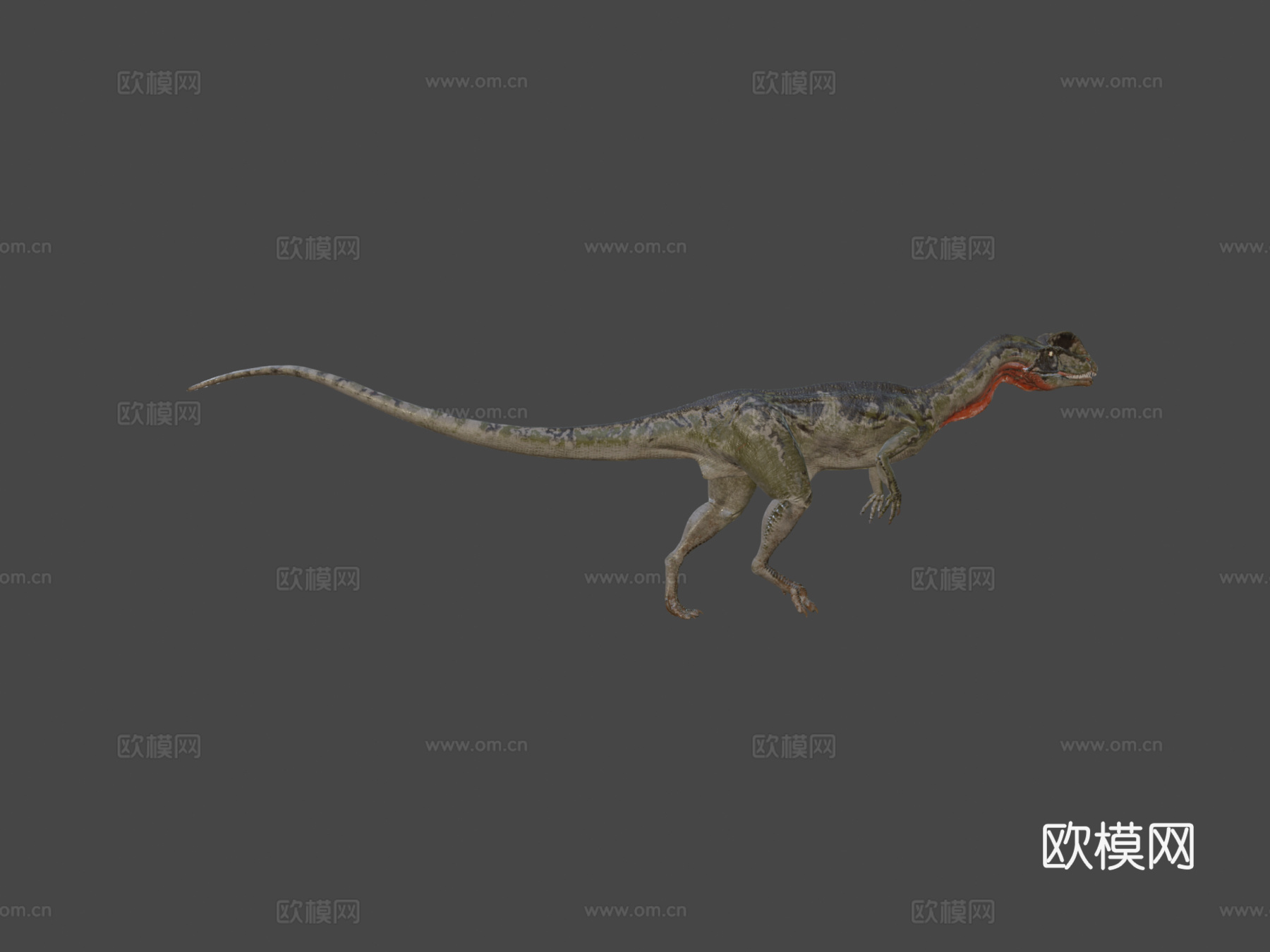 双脊龙3d模型