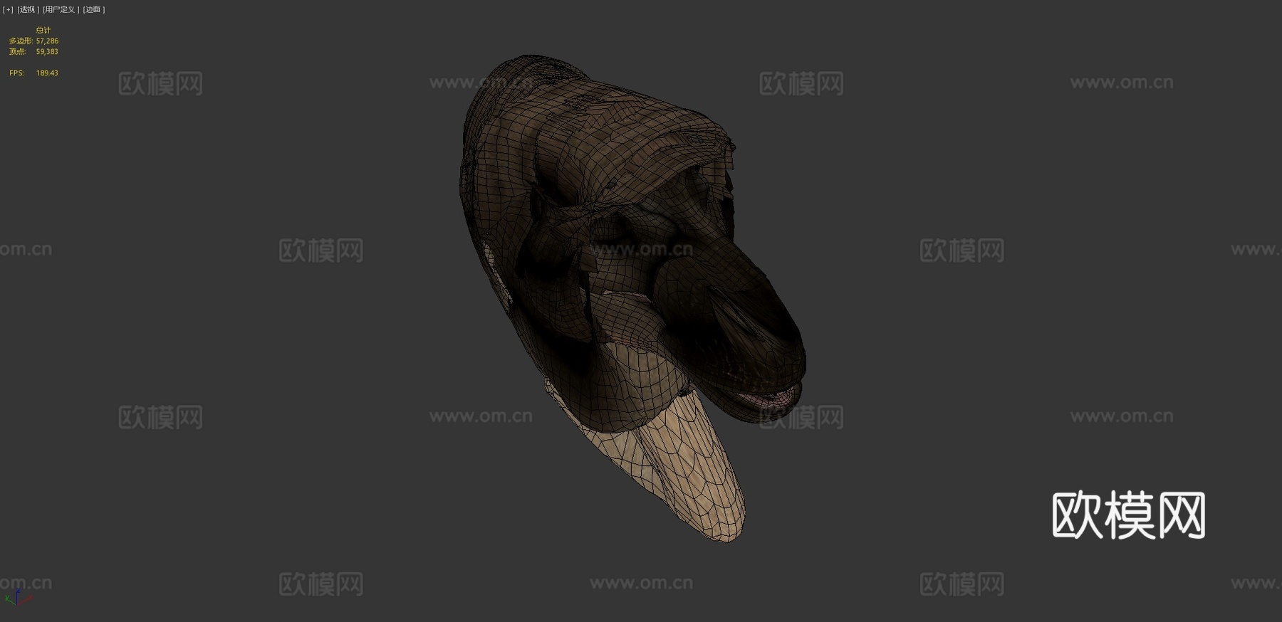 霸王龙3d模型