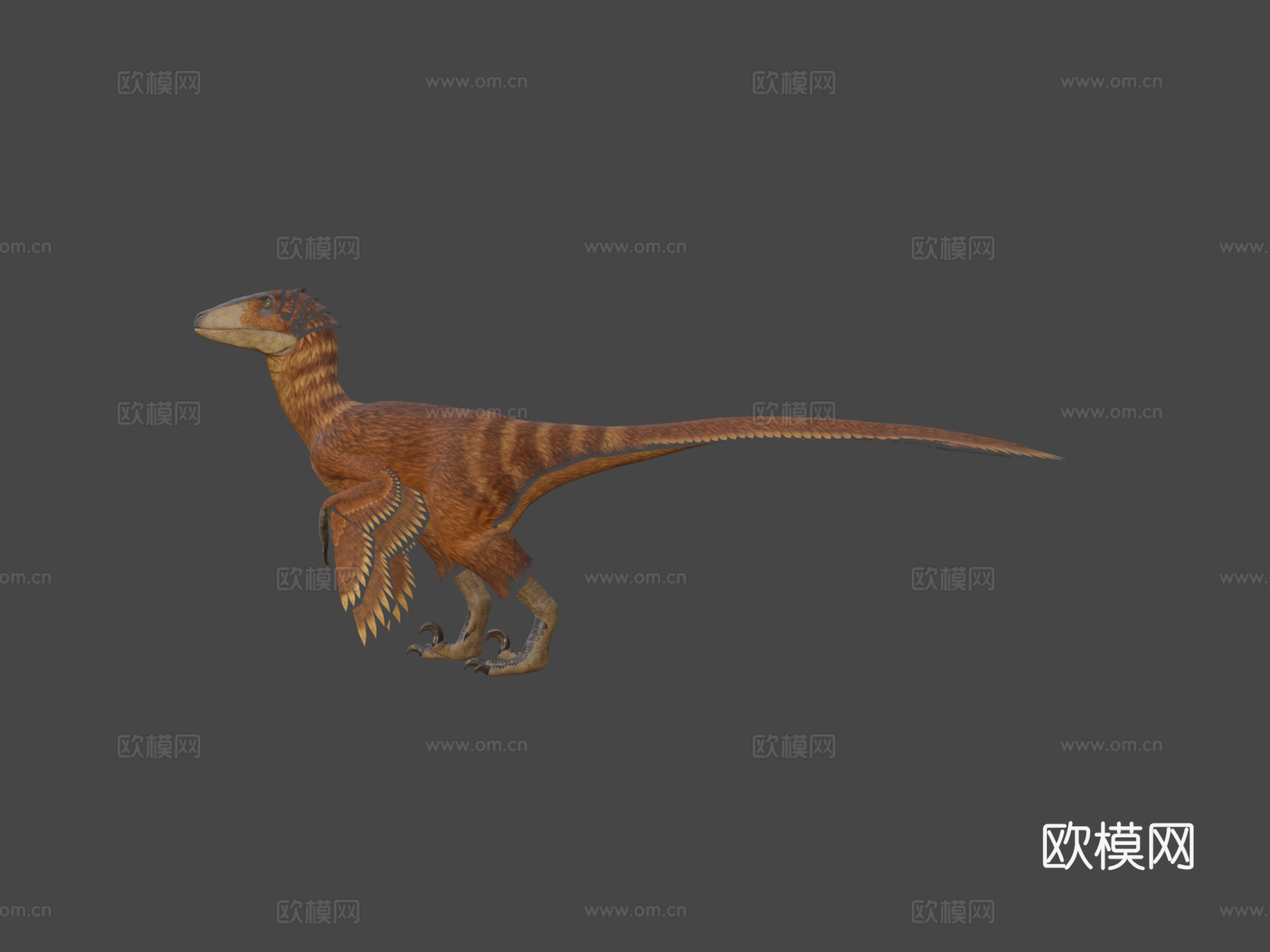 恐爪龙3d模型