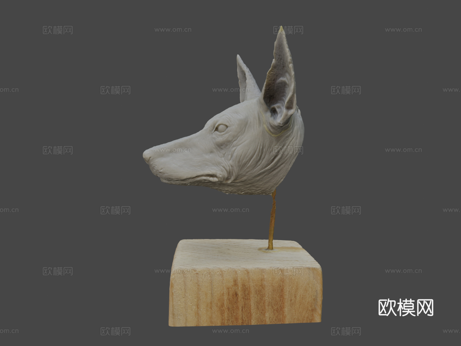 艾伦·卡拉斯科的狗头3d模型