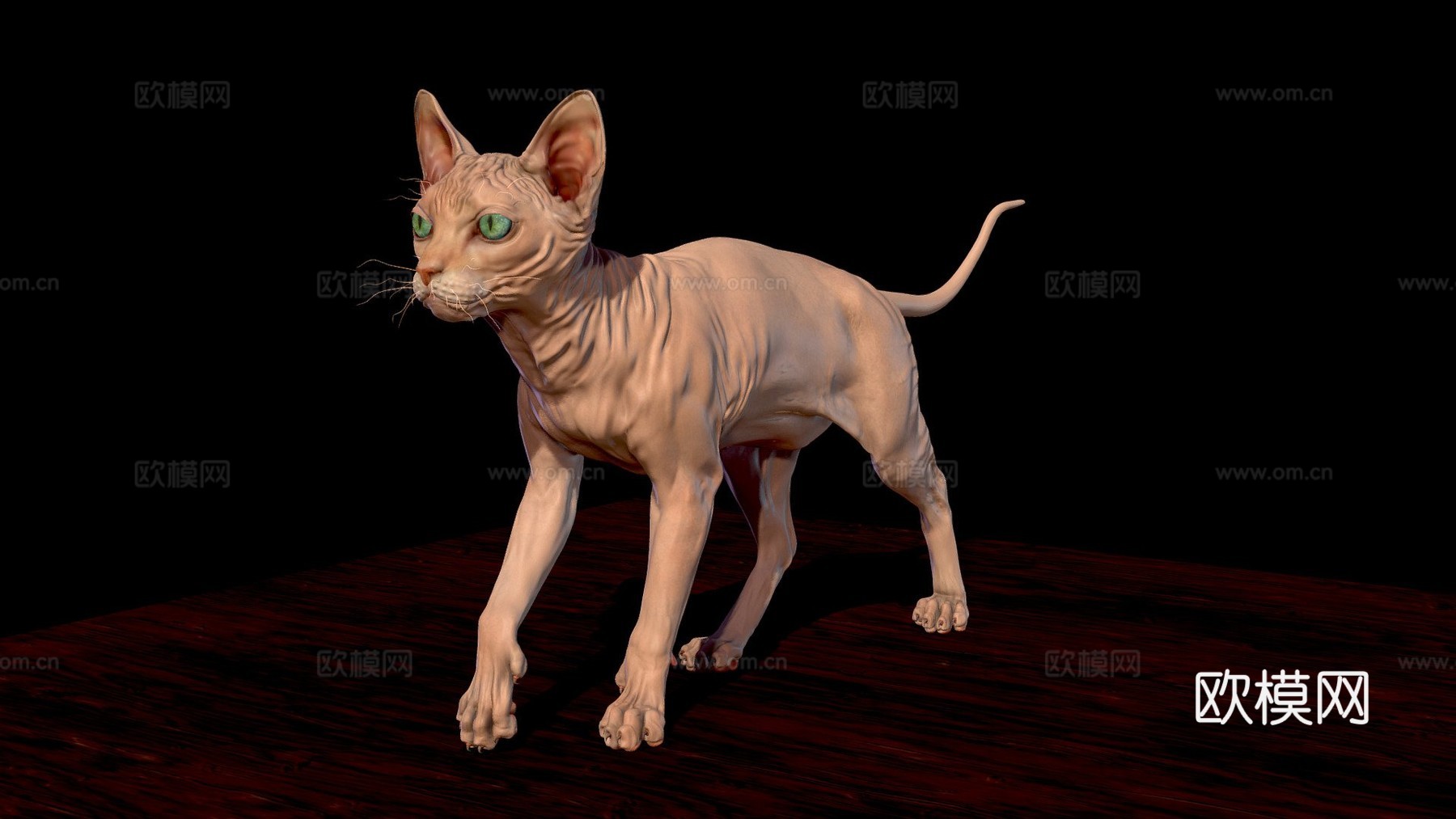 斯芬克斯无毛猫3d模型