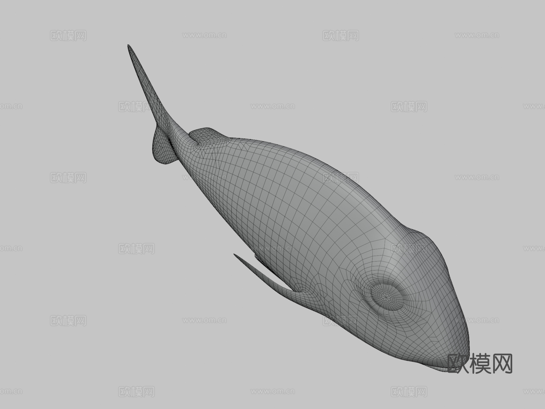 菖蒲菖蒲3d模型