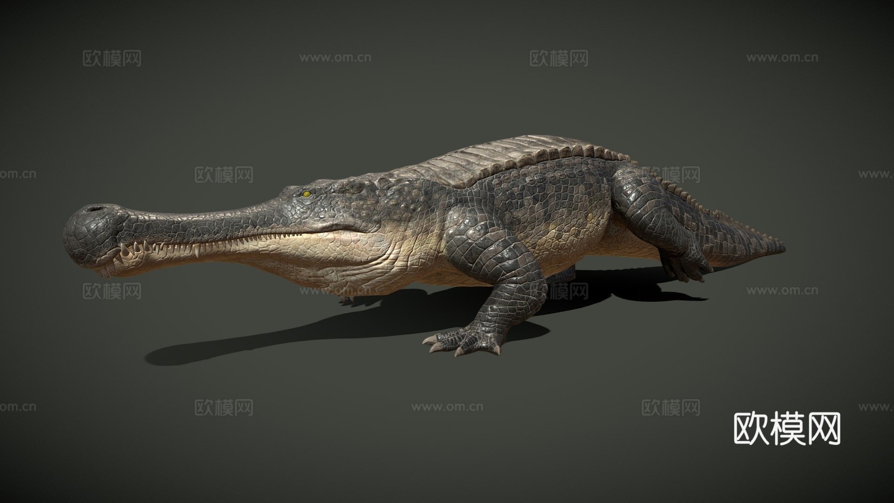 帝鳄3d模型