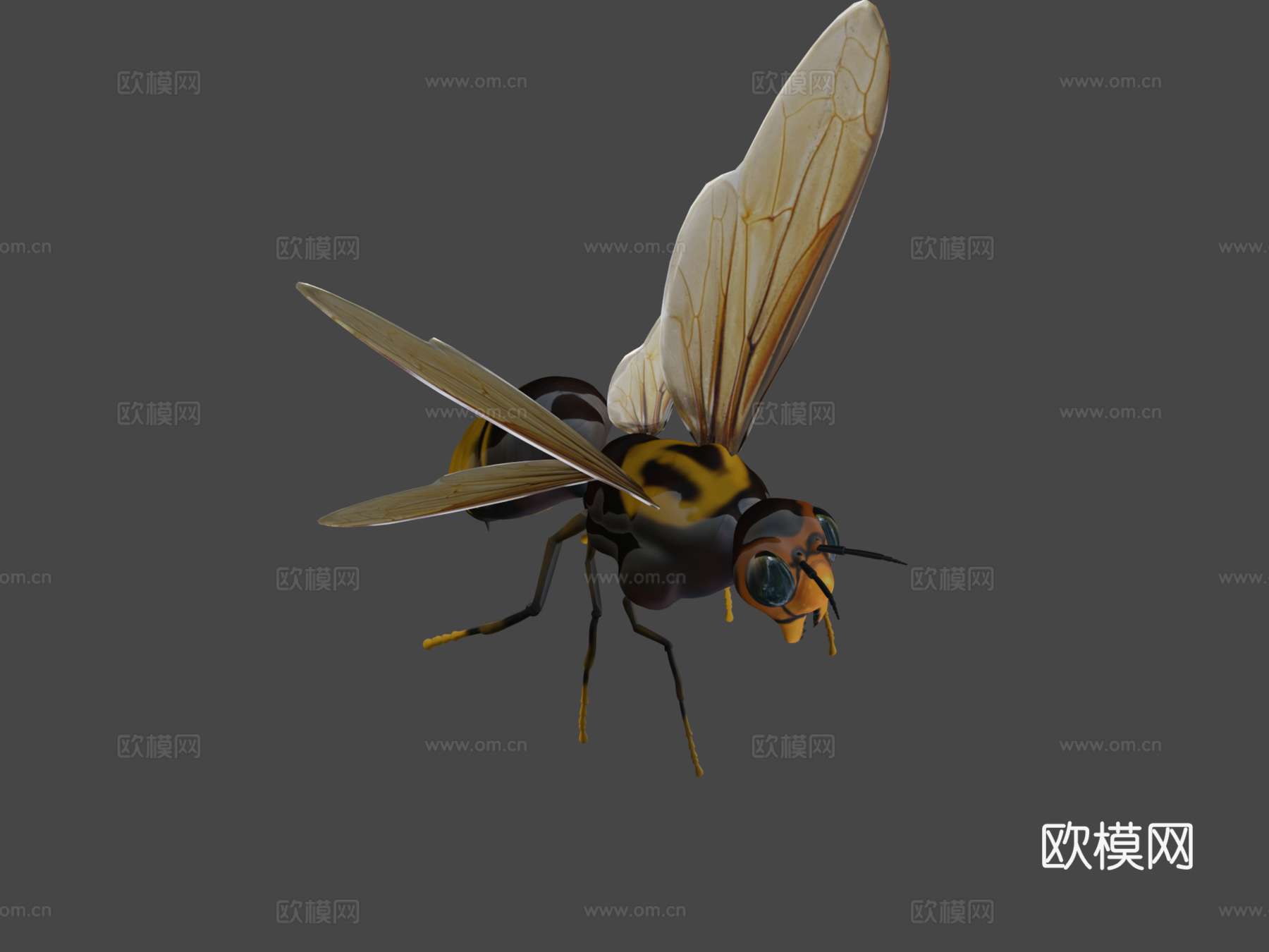 飞黄蜂3d模型