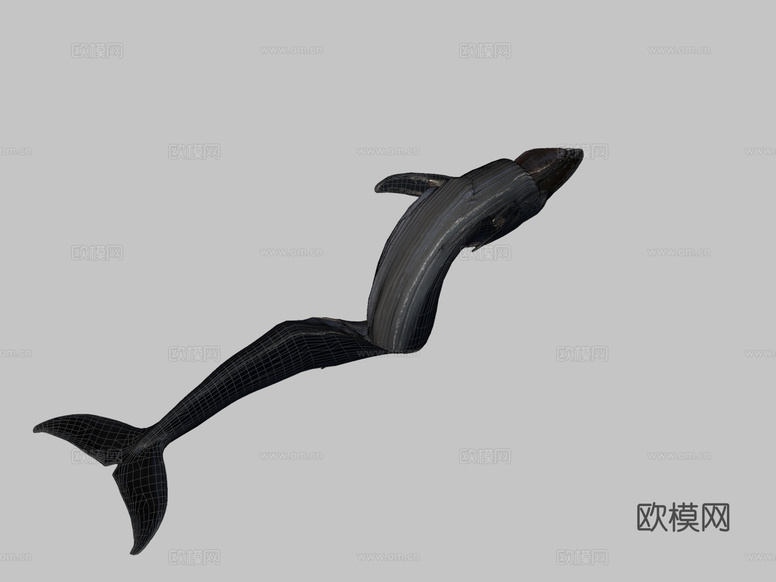 蓝鲸3d模型下载(渲染图2)