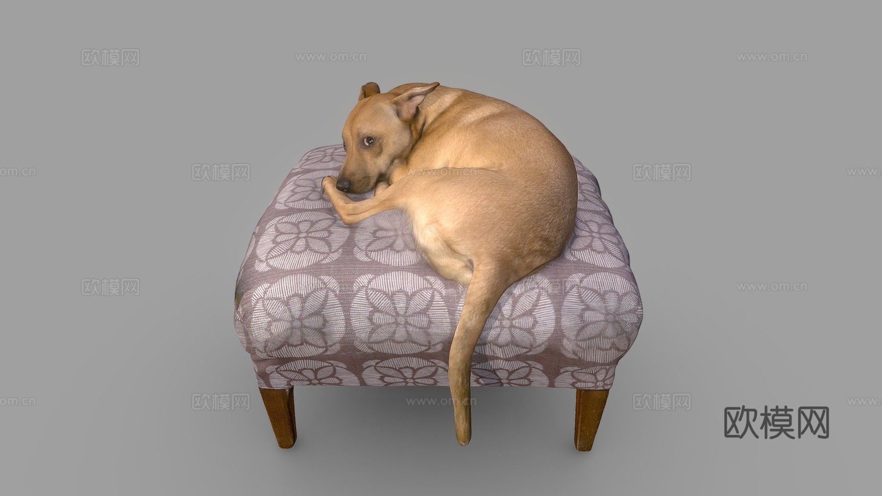 露西狗彩色3D扫描3d模型