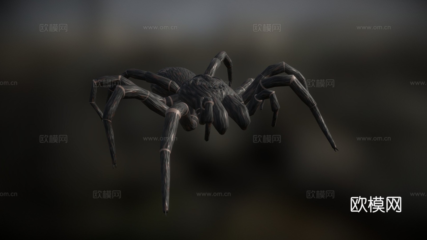 恐怖蜘蛛3d模型