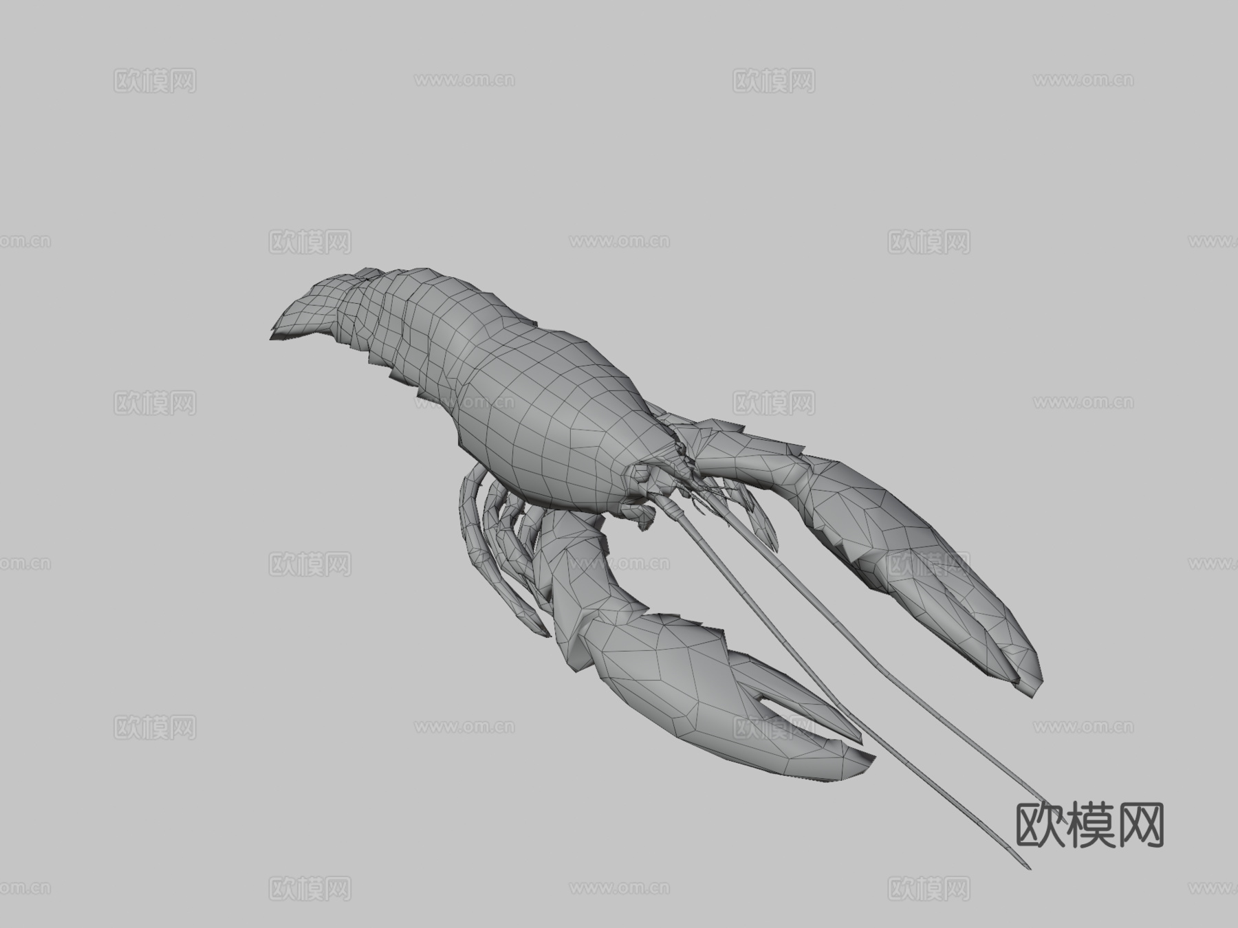 龙虾3d模型