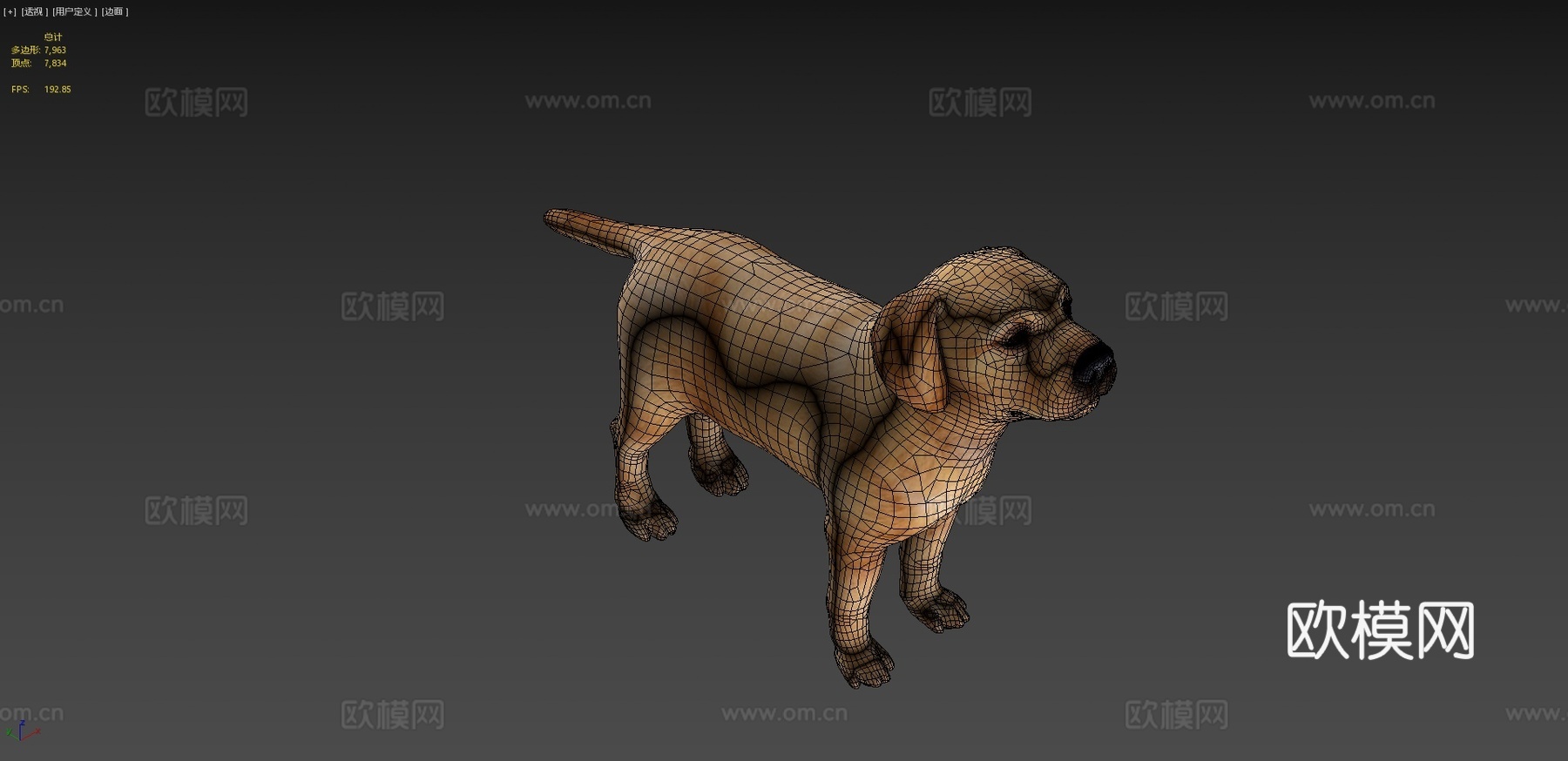 小狗幼崽3d模型