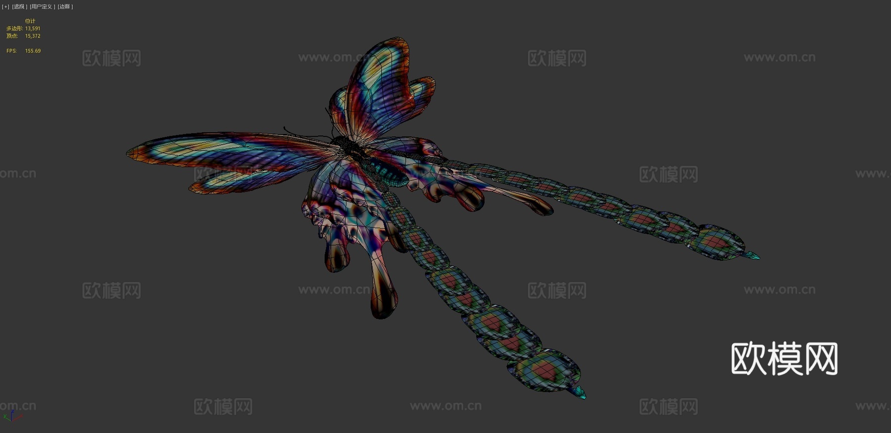 凤凰燕尾蝶3d模型