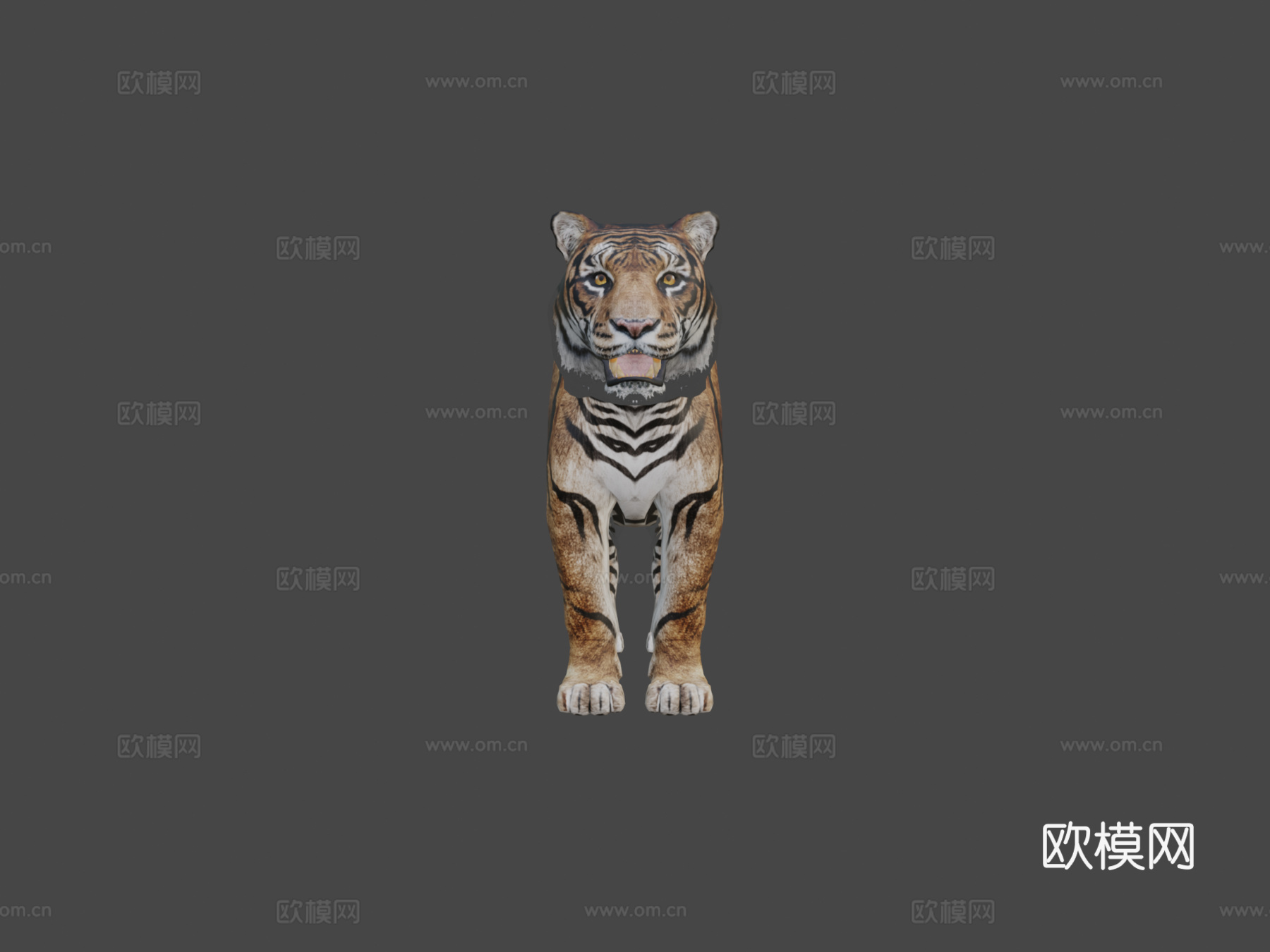 孟加拉虎3d模型