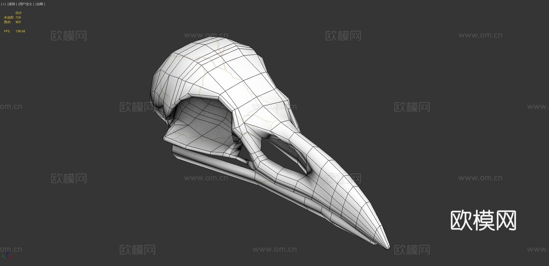 渡鸦头骨3d模型