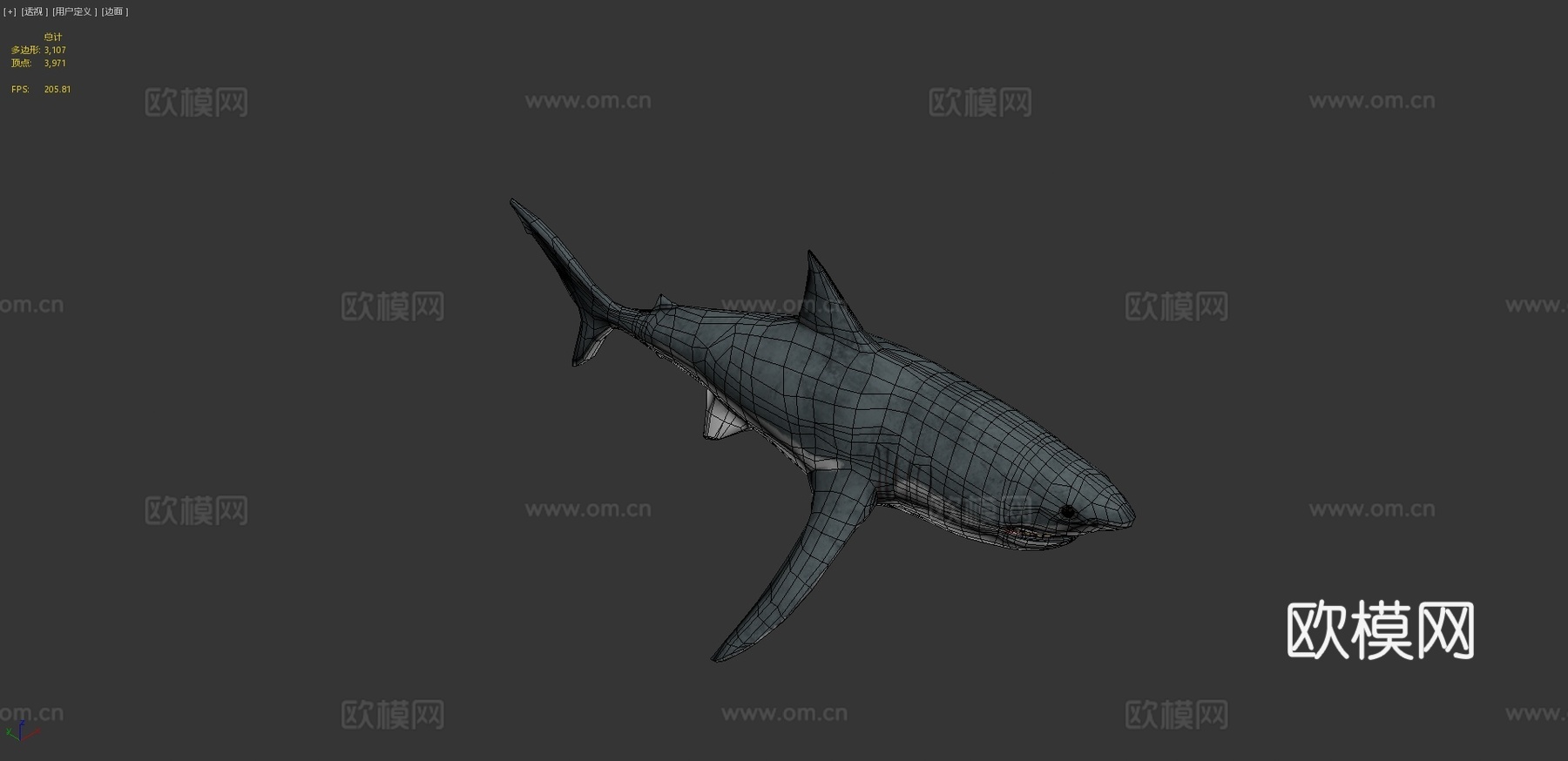 大白鲨3d模型
