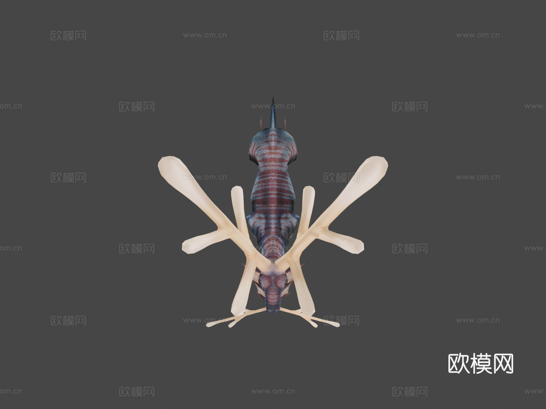 海葵鹿3d模型