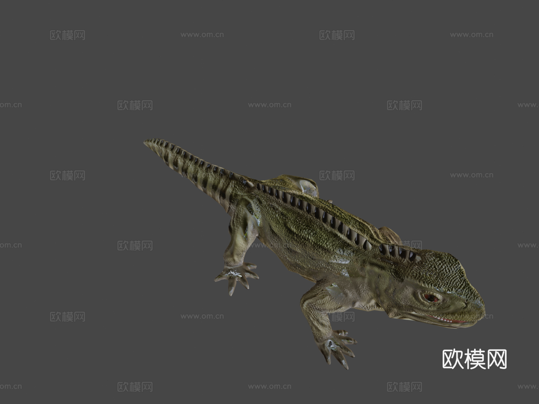 蜥蜴3d模型
